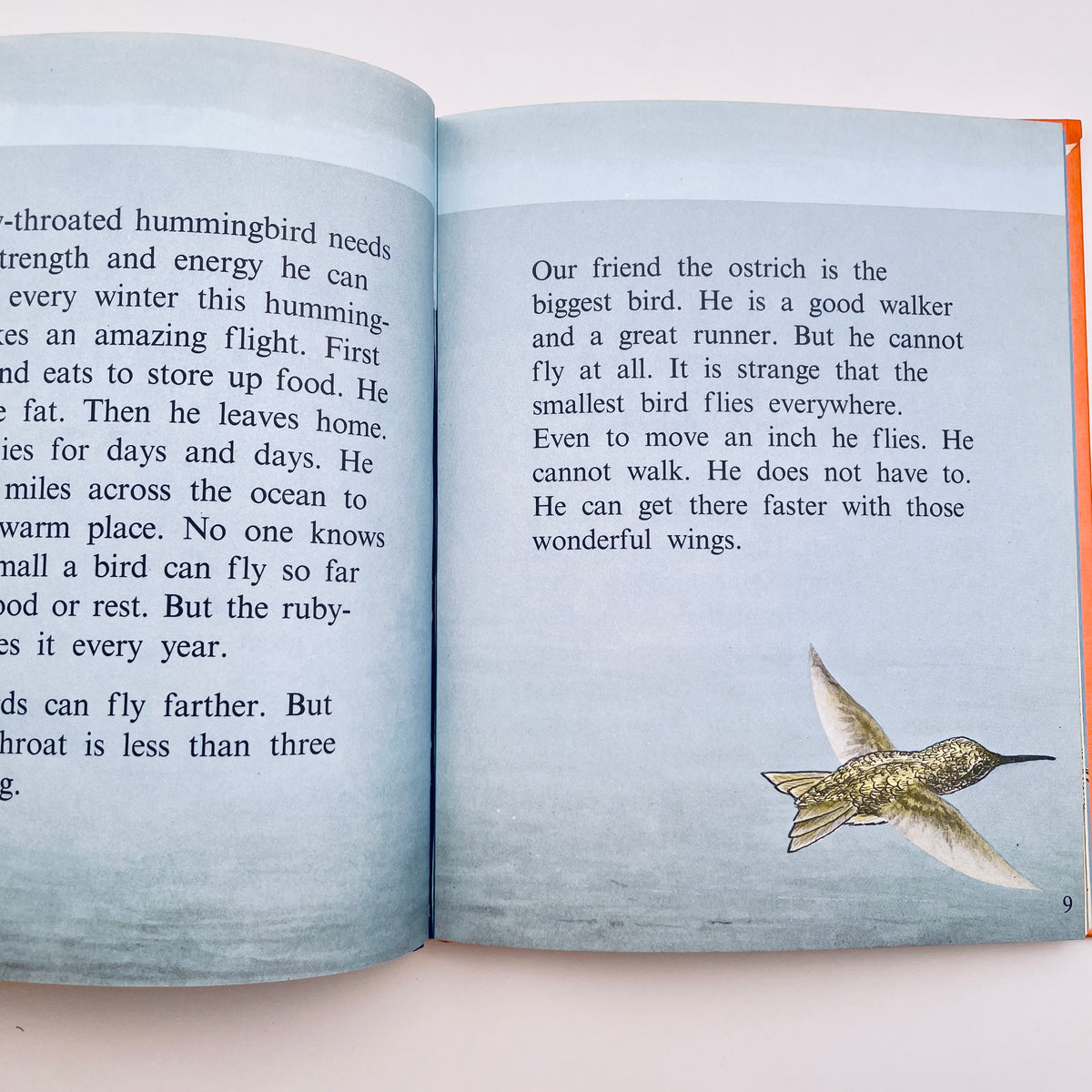 Birds do the Strangest Things (Step-Up Books)