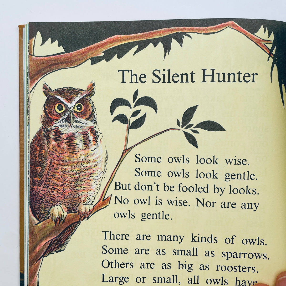 Birds do the Strangest Things (Step-Up Books)