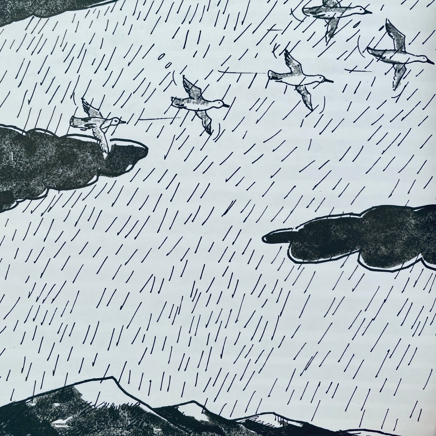 Ducks Don't Get Wet