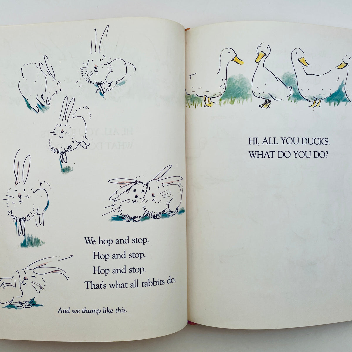 Hi, All You Rabbits