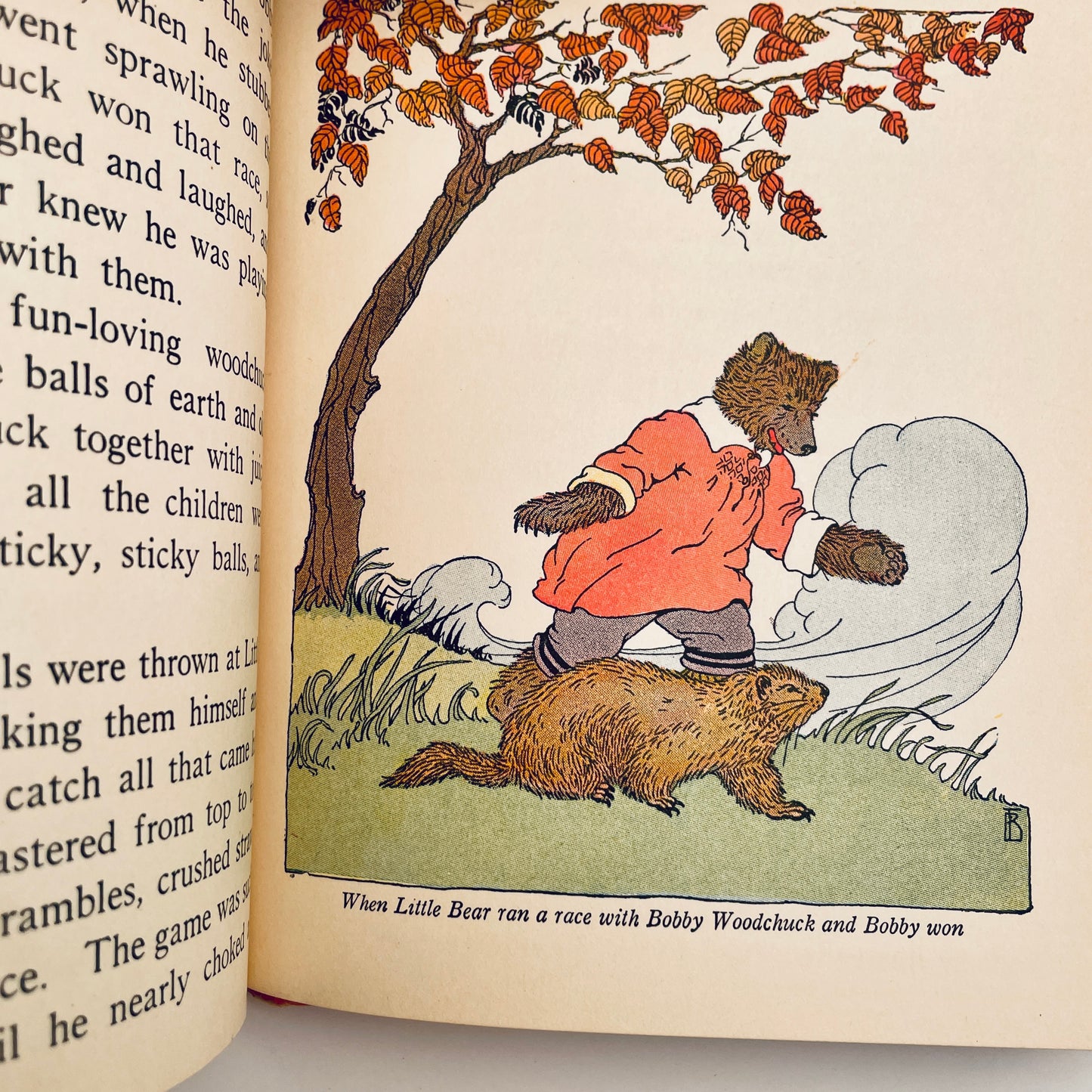 Little Bear's Ups and Downs