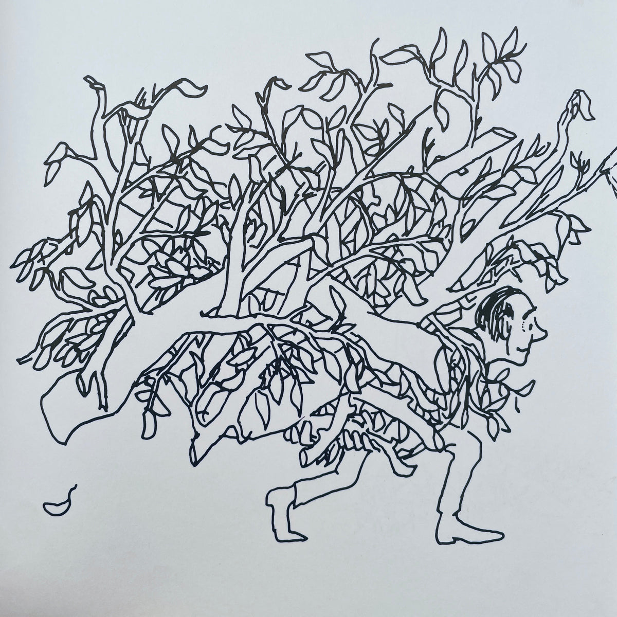 Et Arbol Generoso (The Giving Tree–Spanish)