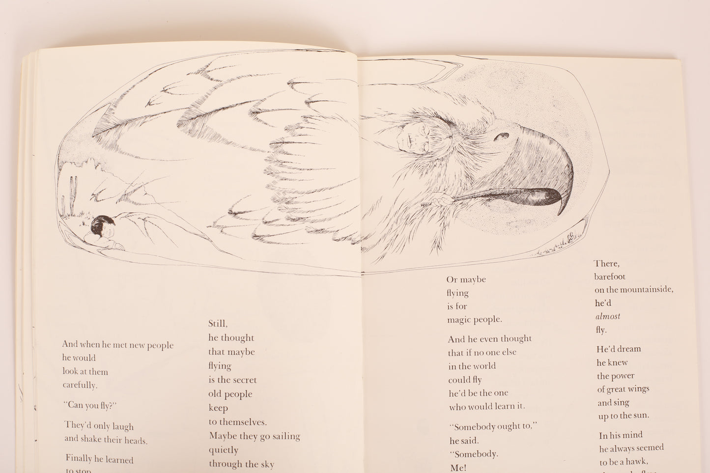 Hawk, I'm Your Brother