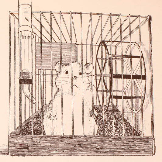 The Great Hamster Hunt