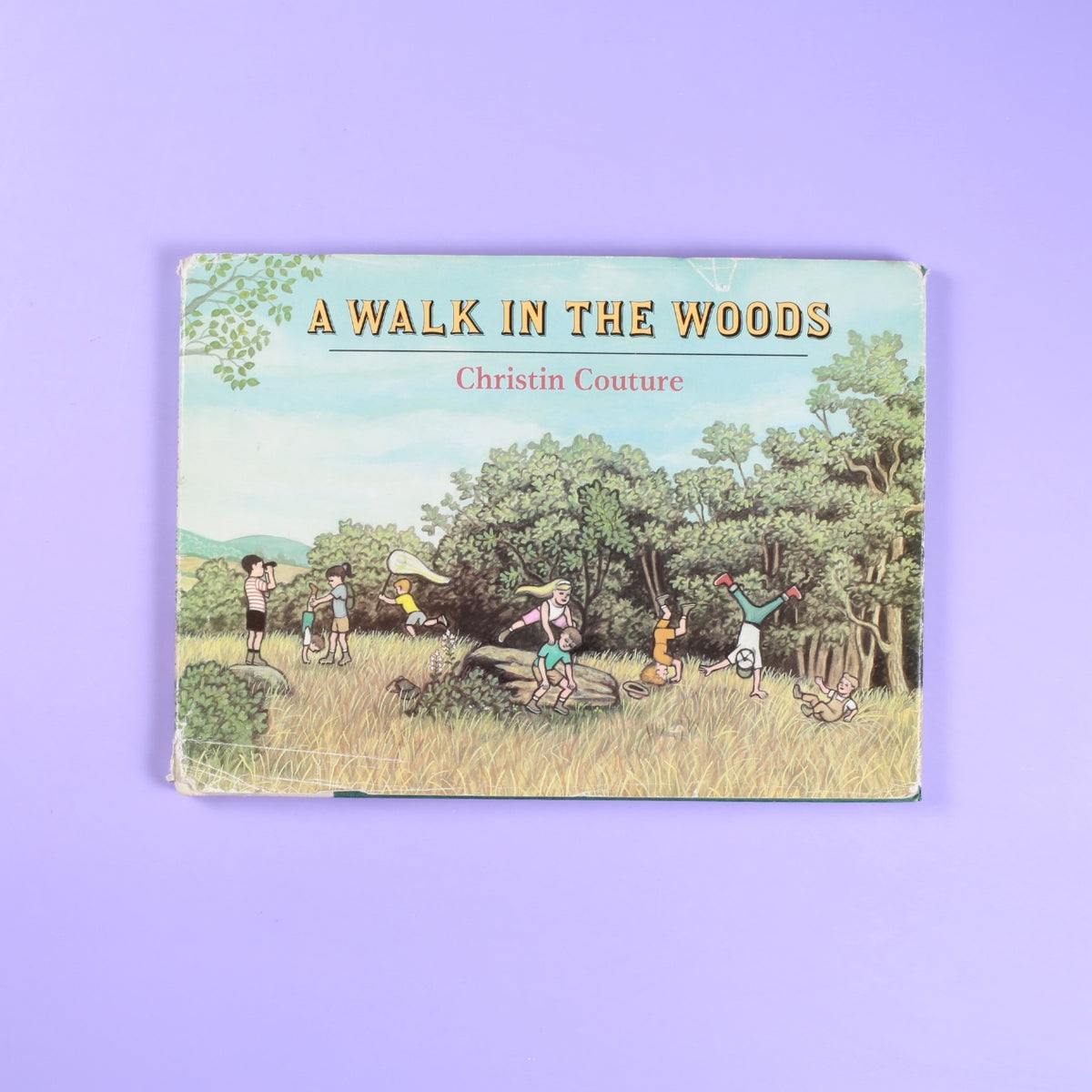 A Walk In The Woods