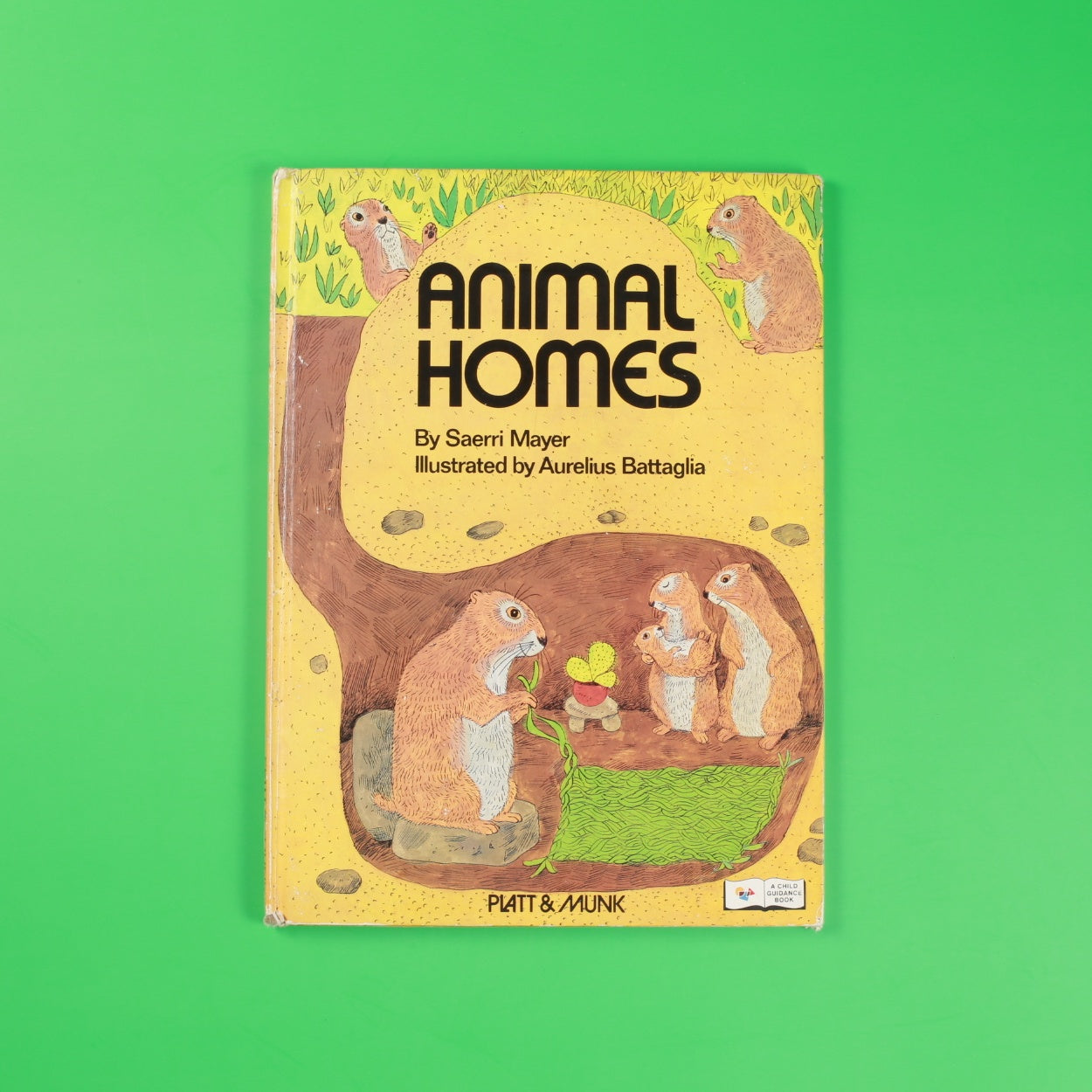 Animal Homes