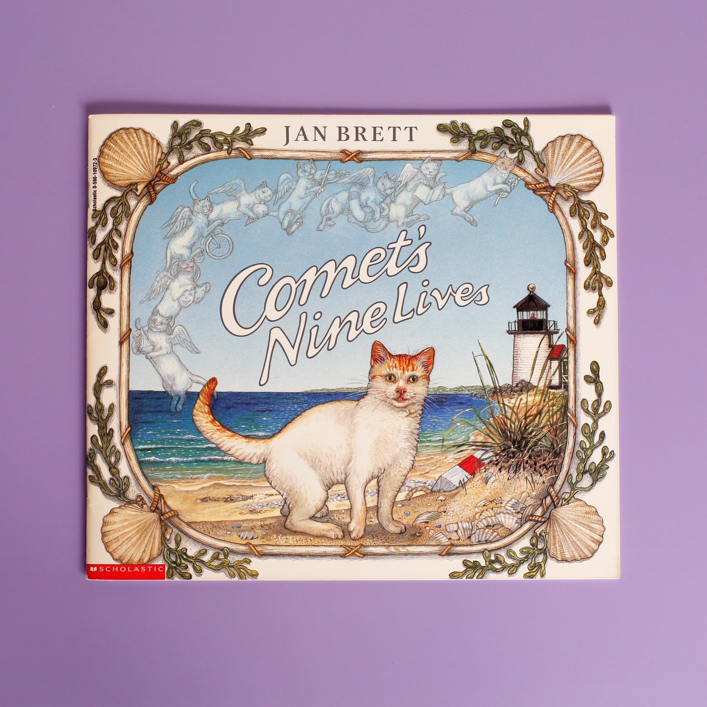 Comet's Nine Lives
