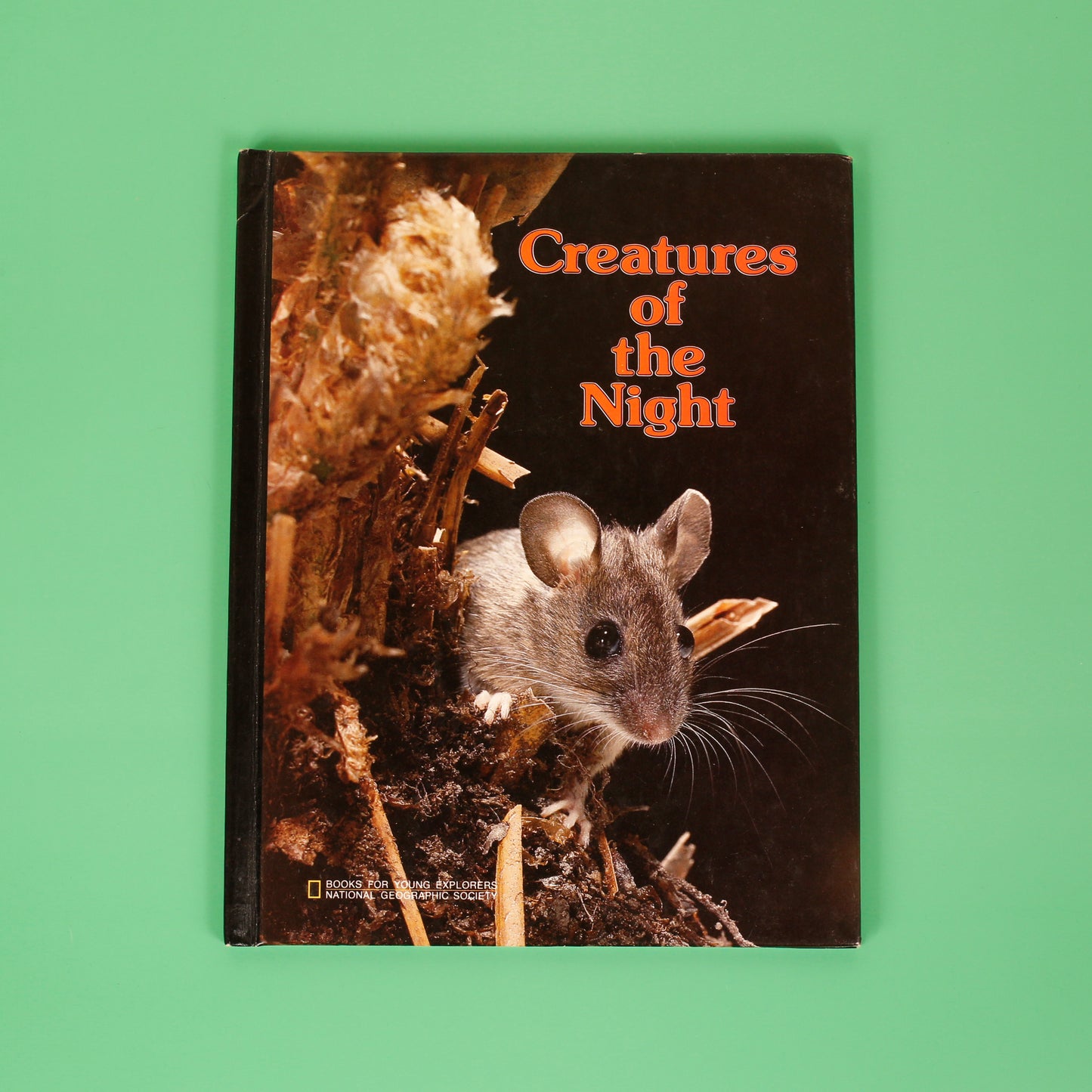Creatures of the Night (National Geographic Books for Young Explorers)