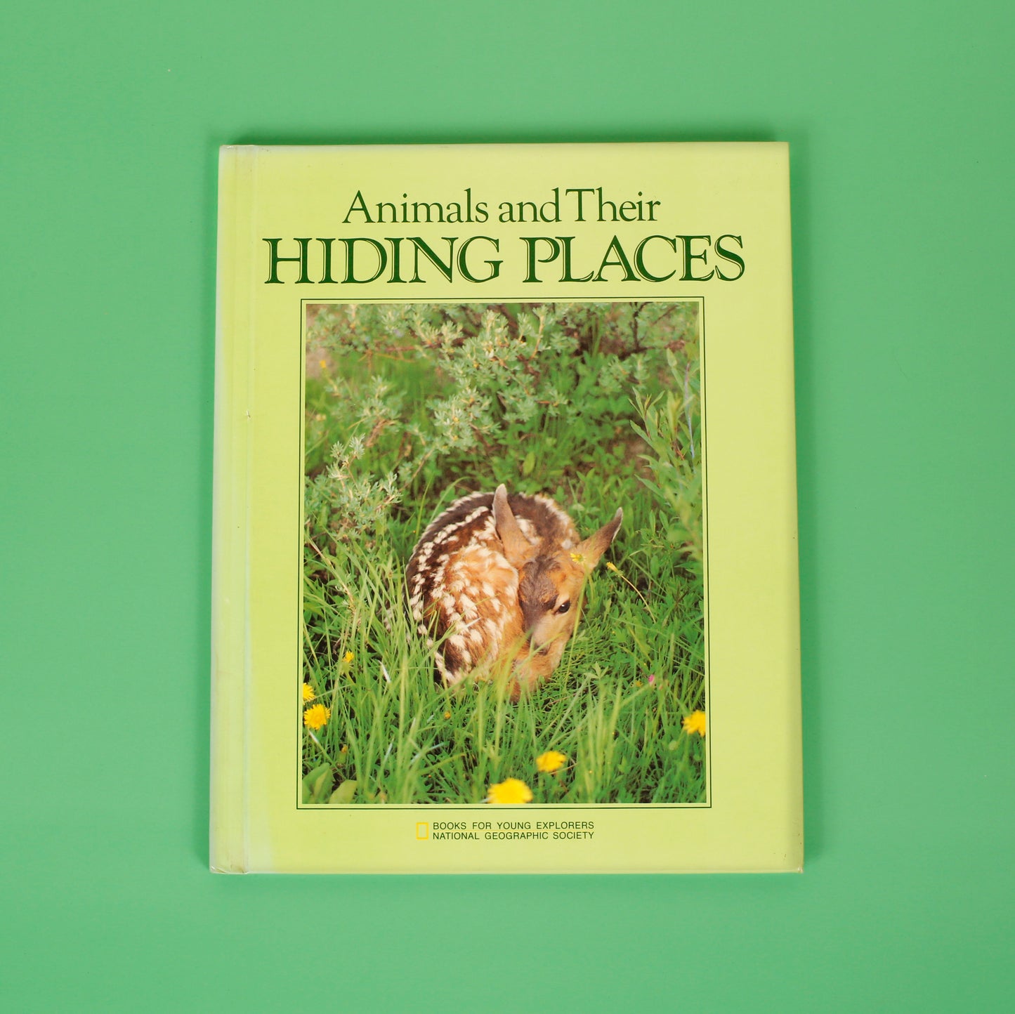 Animals and Their Hiding Places (National Geographic Books for Young Explorers)