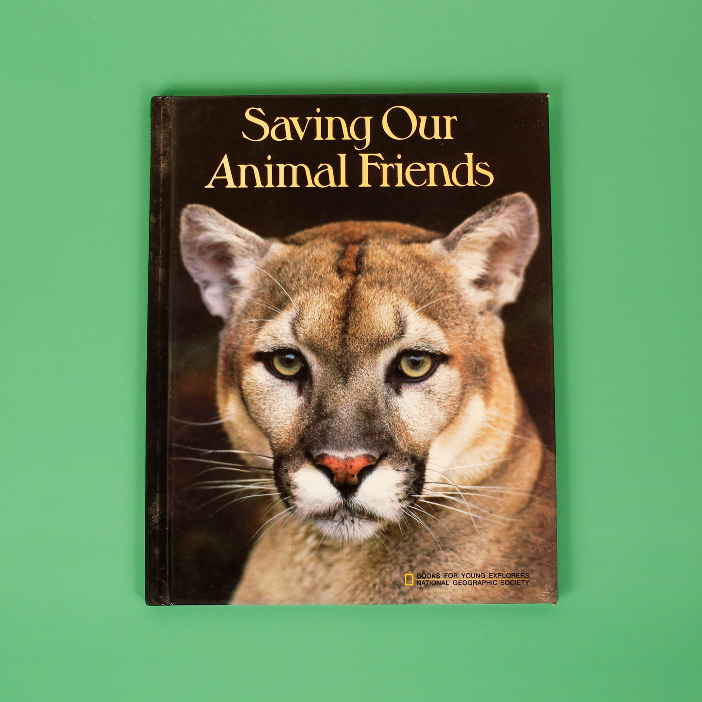 Saving Our Animal Friends (National Geographic Books for Young Explorers)
