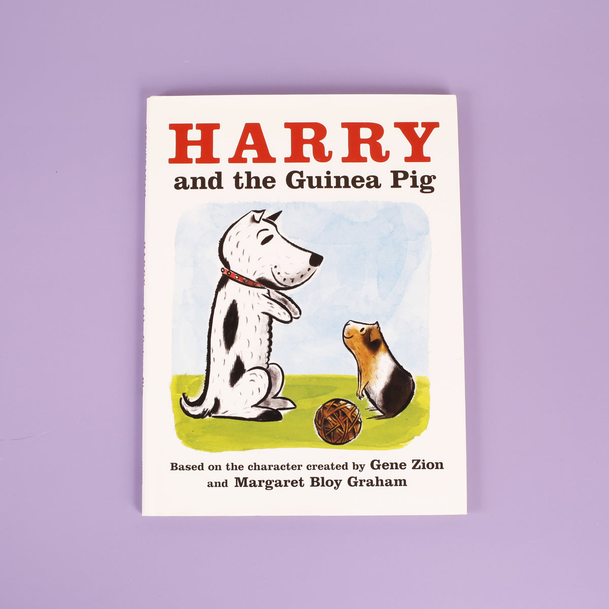 Harry and the Guinea Pig