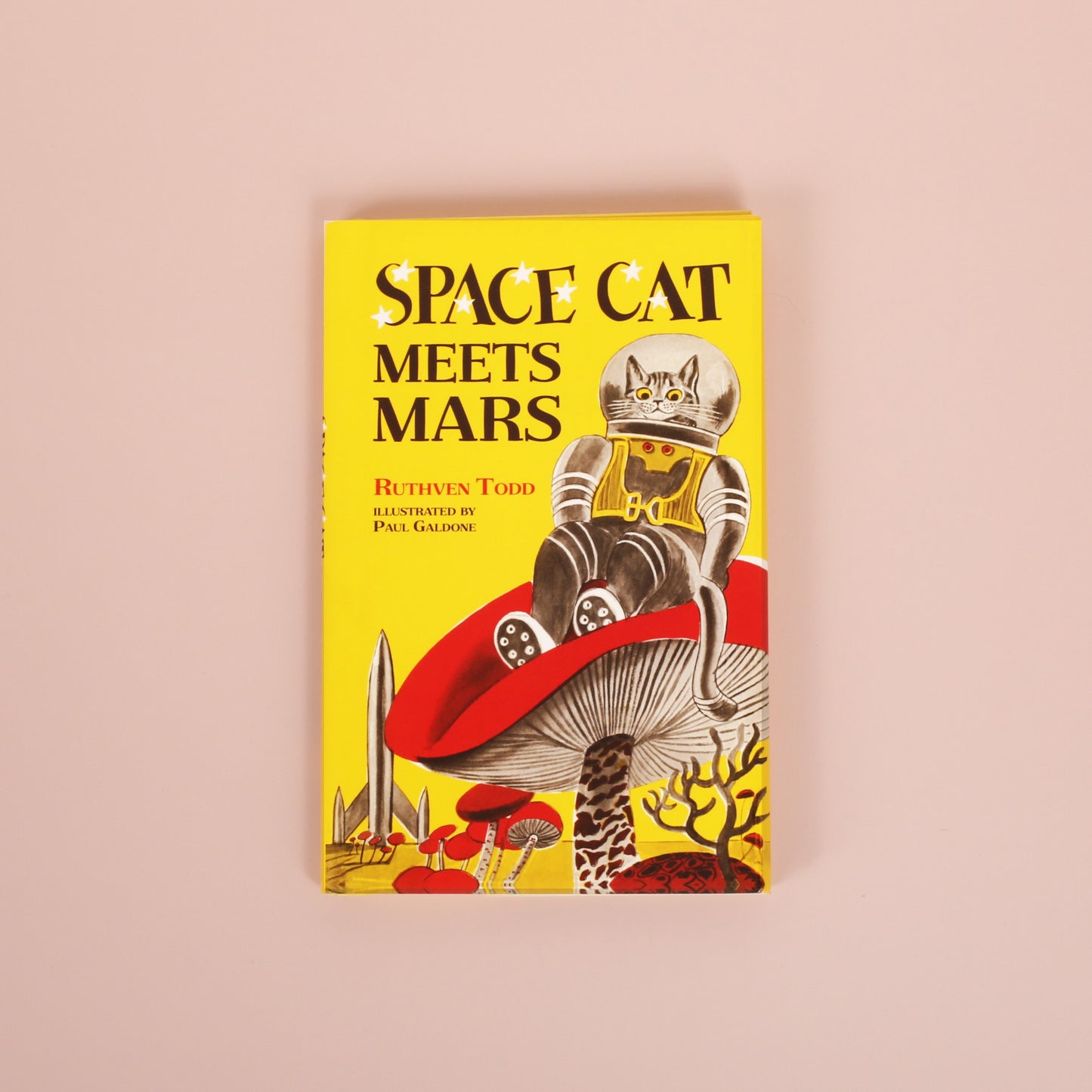 Space Cat Meets Mars