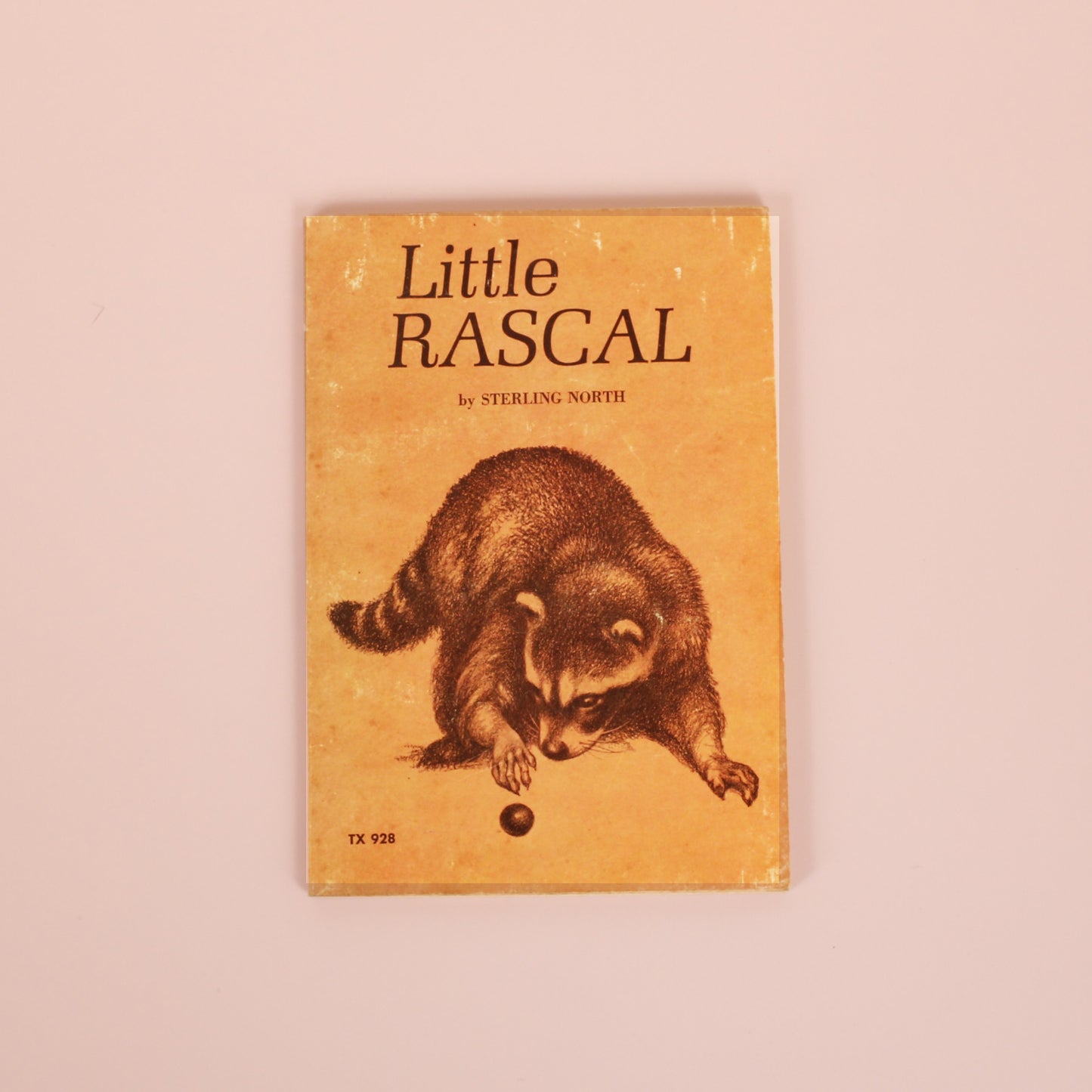 Little Rascal