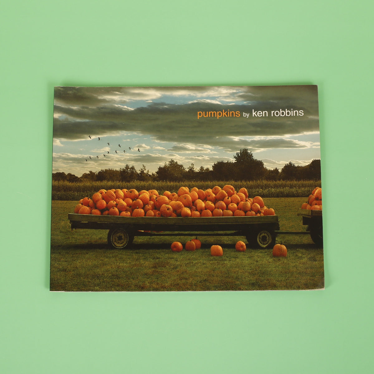 Pumpkins