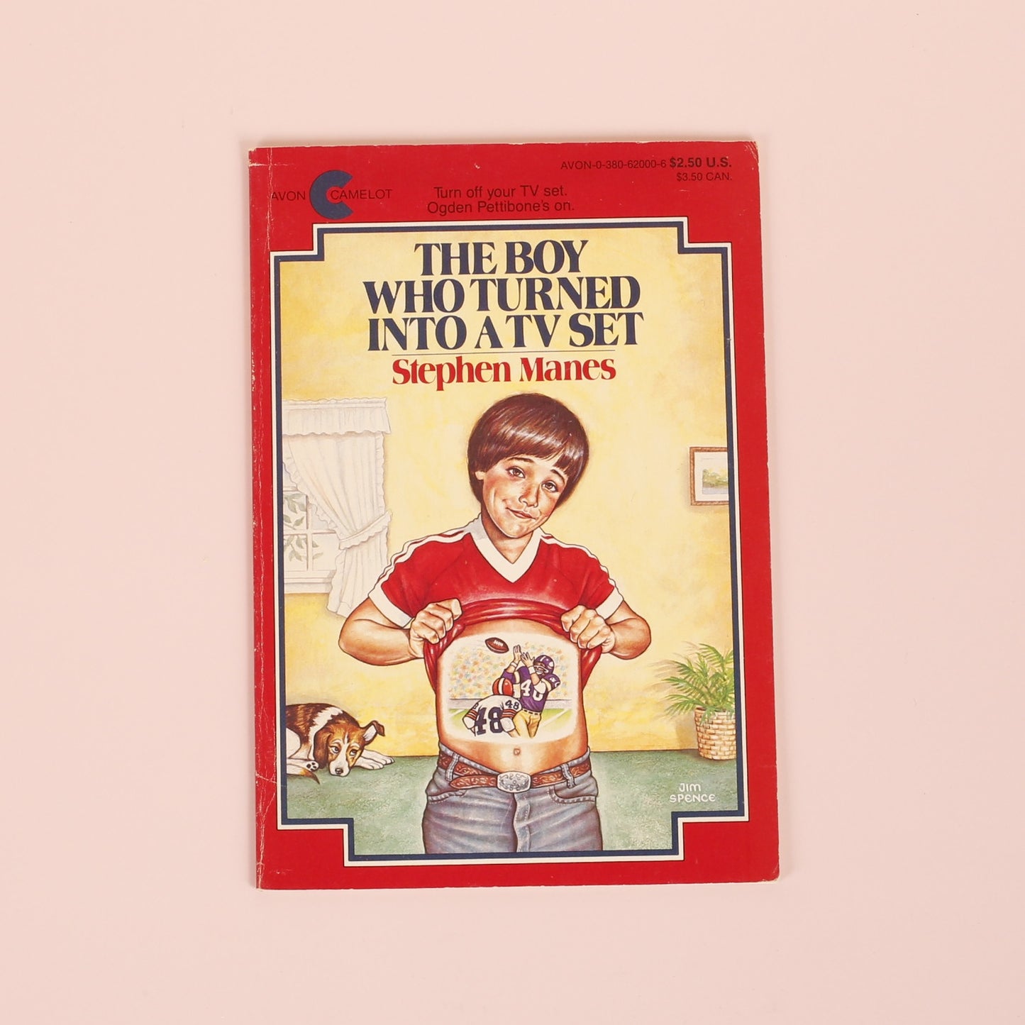 The Boy Who Turned Into a TV Set