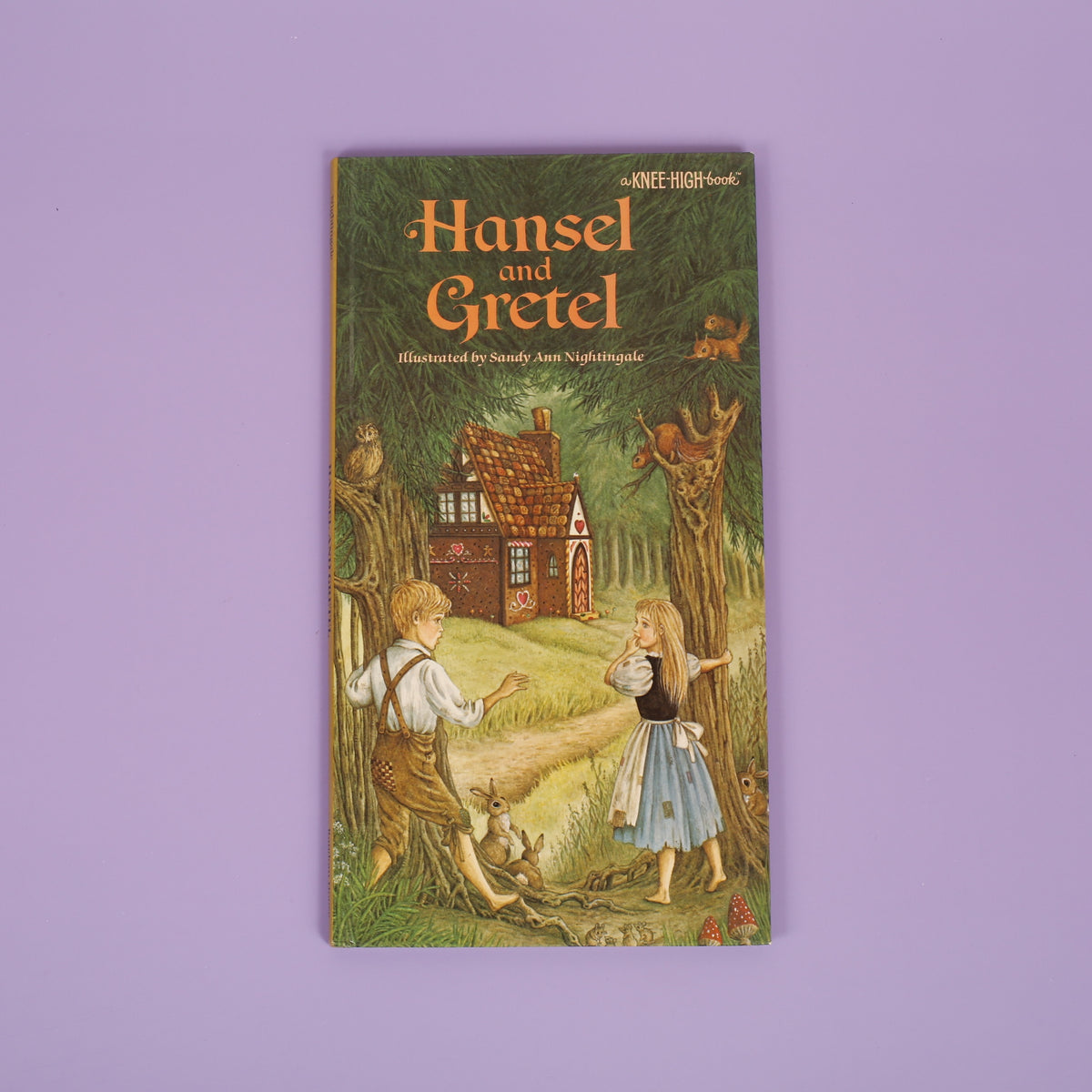 Hansel and Gretel (Knee High Book)