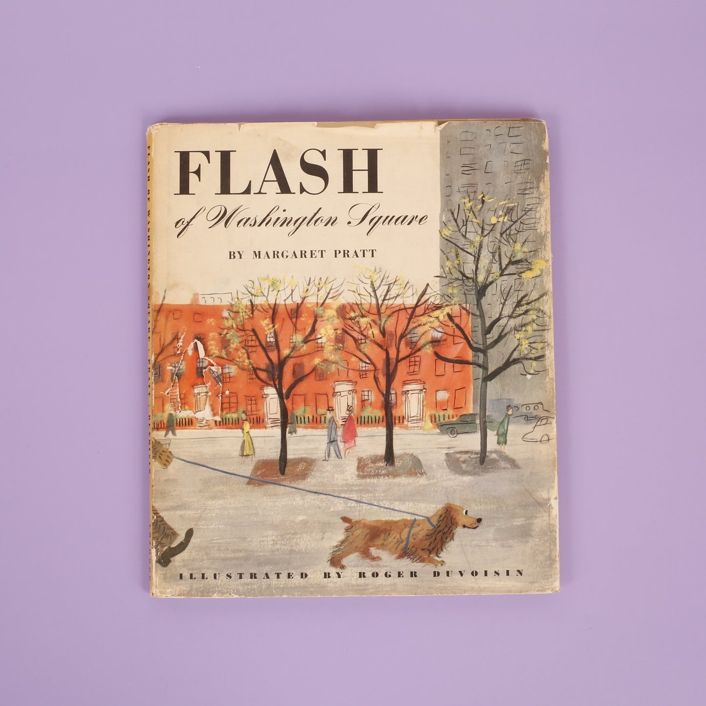 Flash of Washington Square