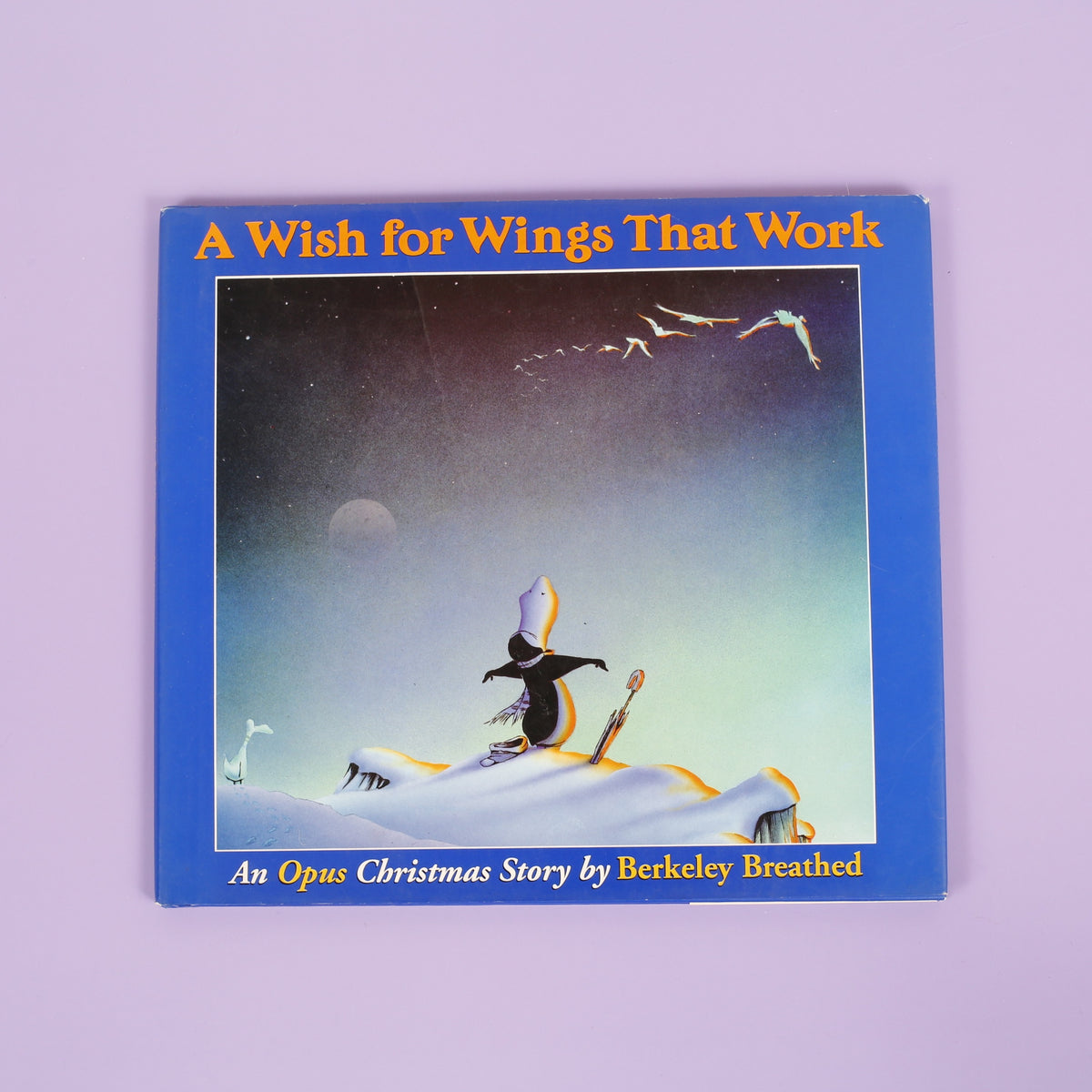 A Wish for Wings that Work
