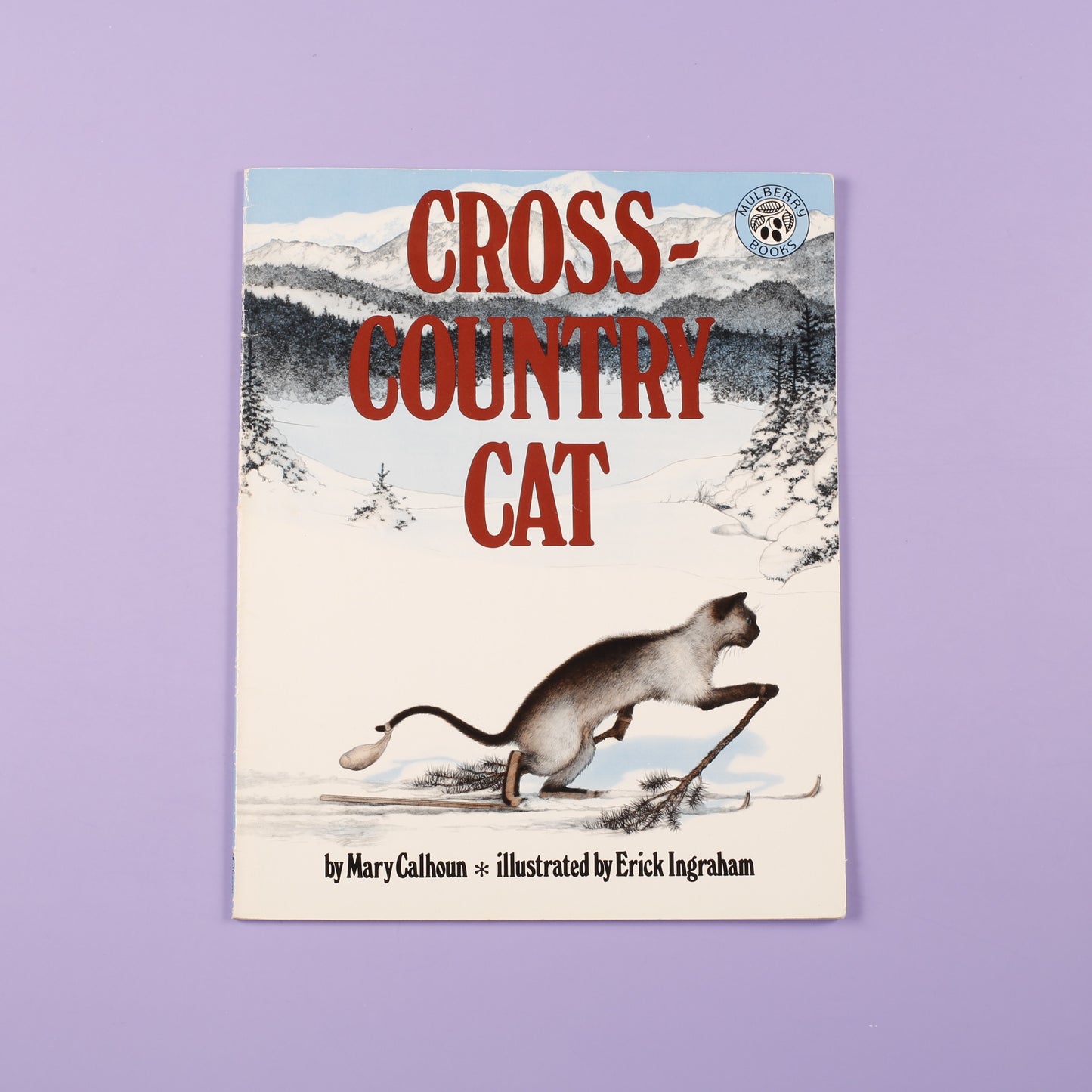 Cross-Country Cat