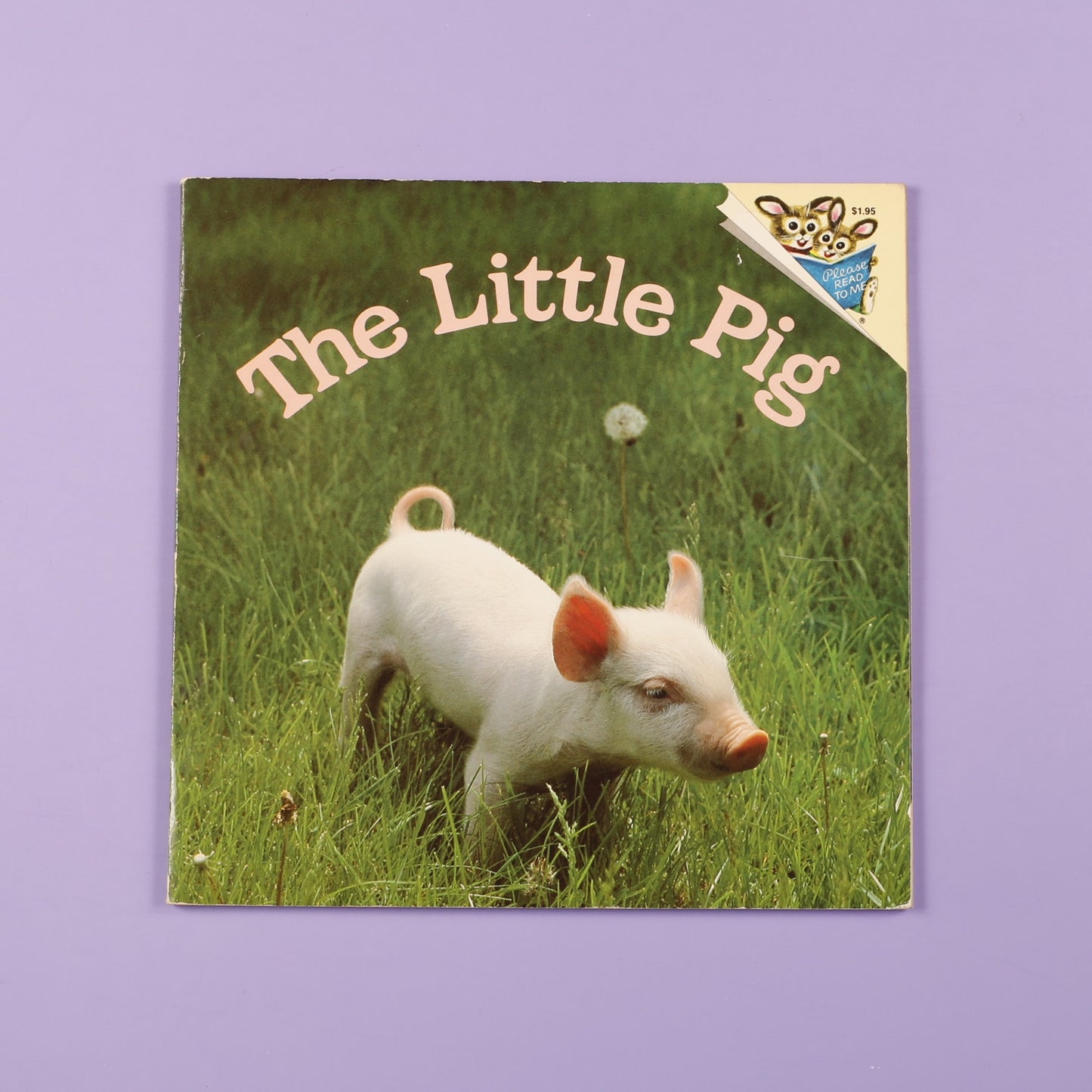 The Little Pig