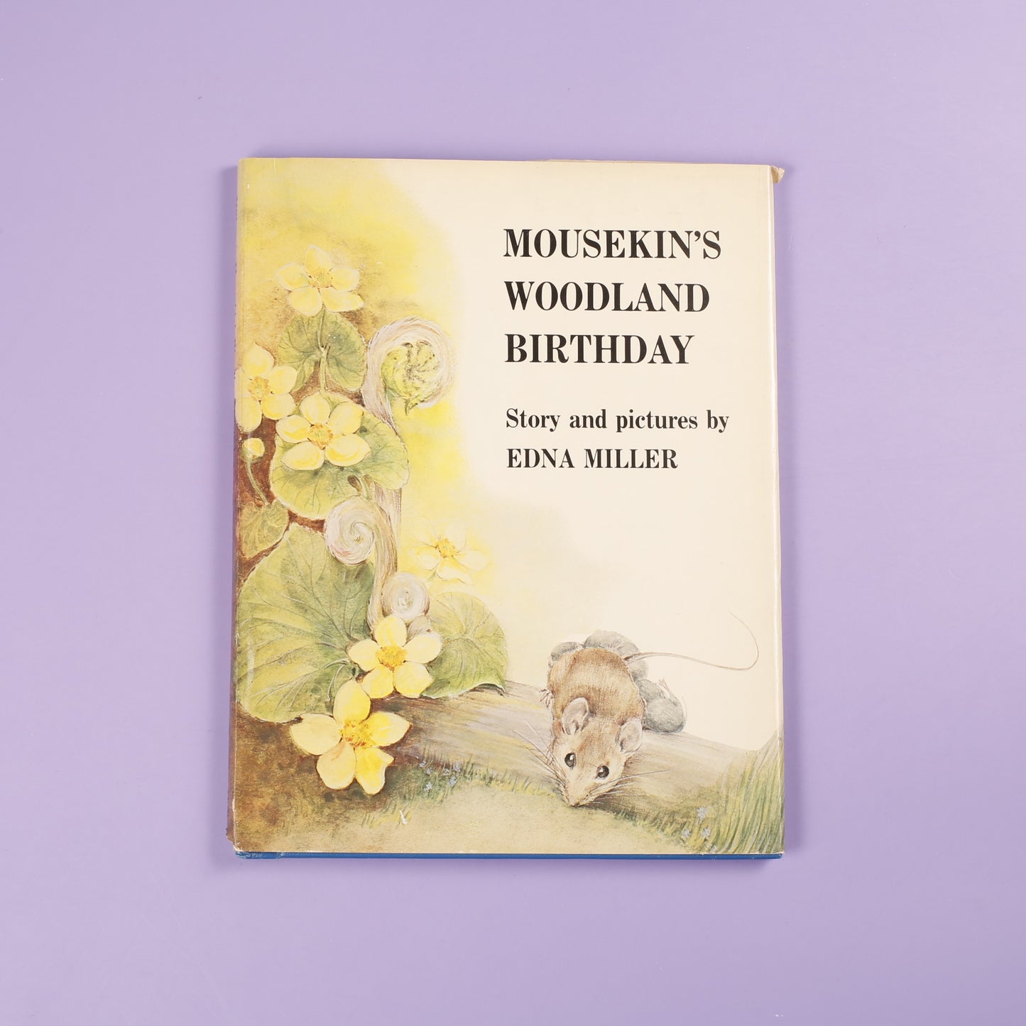 Mousekin's Woodland Birthday