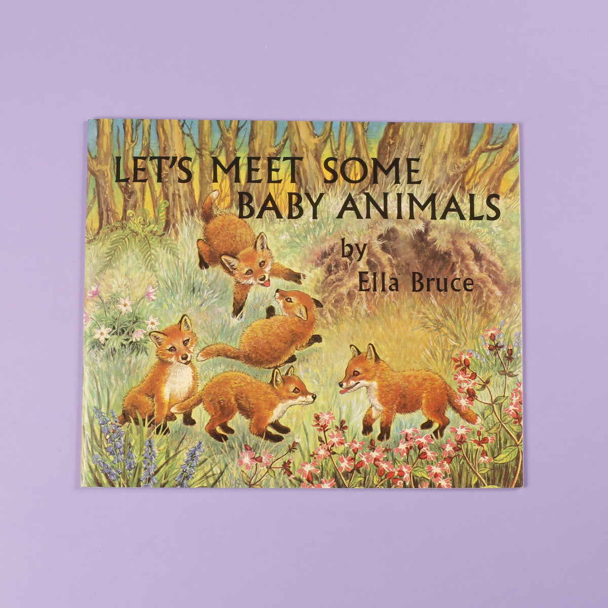 Let's Meet Some Baby Animals