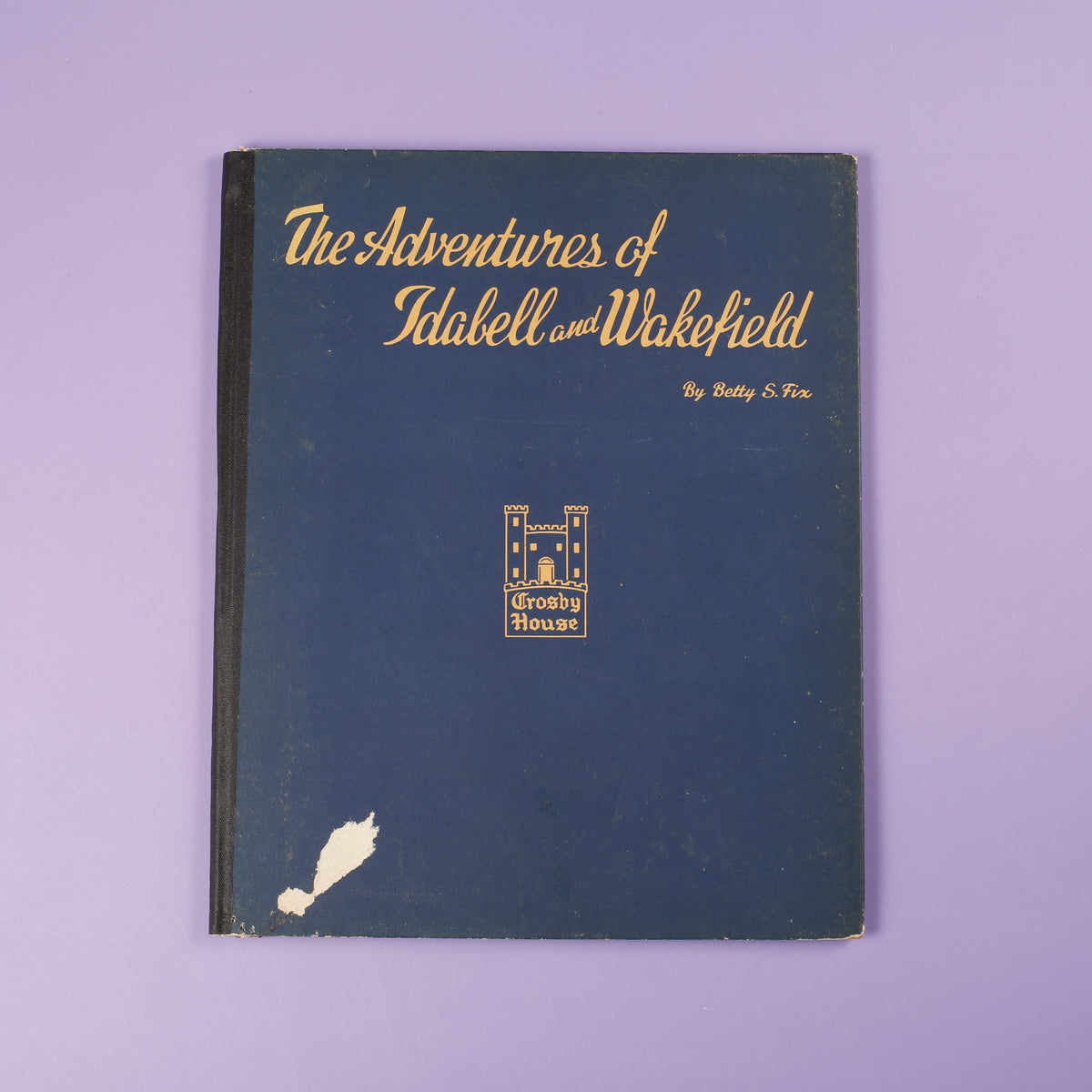 The Adventures of Idabell and Wakefield: What Would You Do?