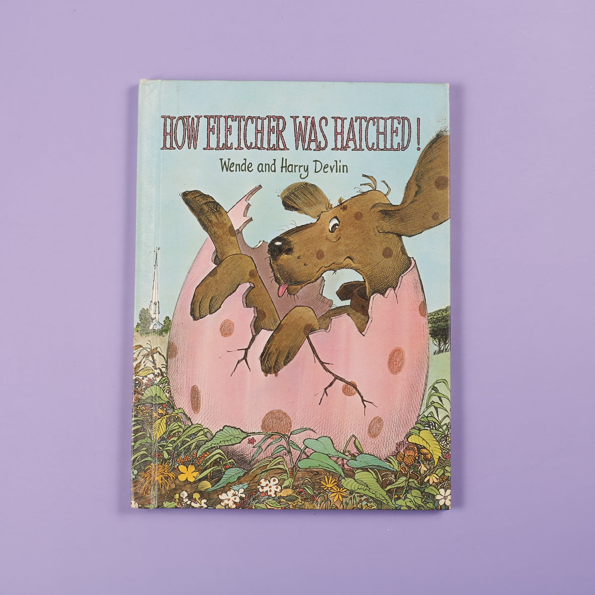 How Fletcher was Hatched!