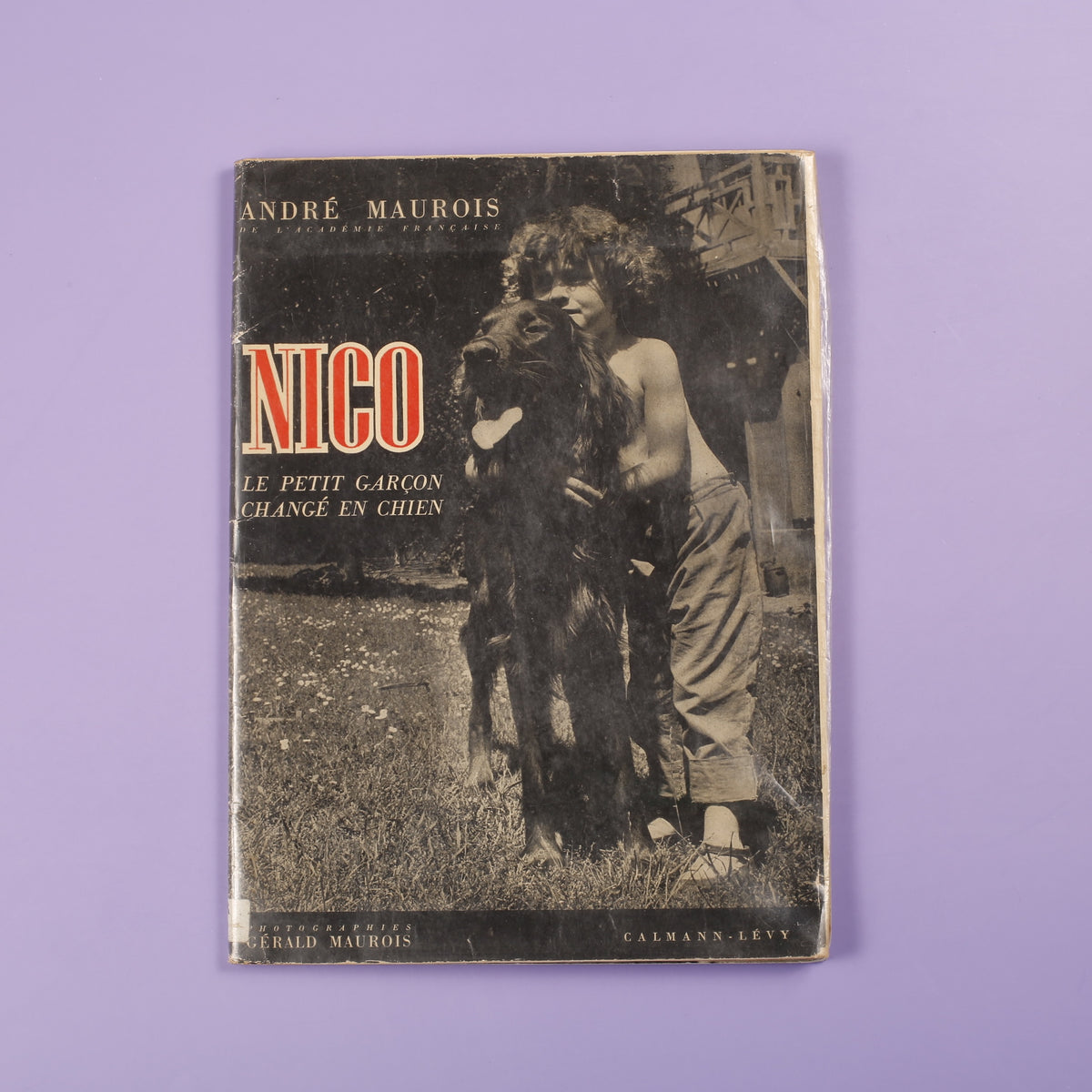 Nico: Le Petit Garçon Changé en Chien (French)