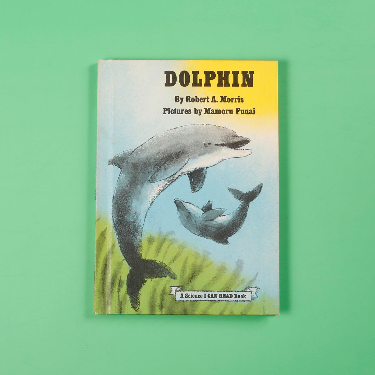 Dolphin