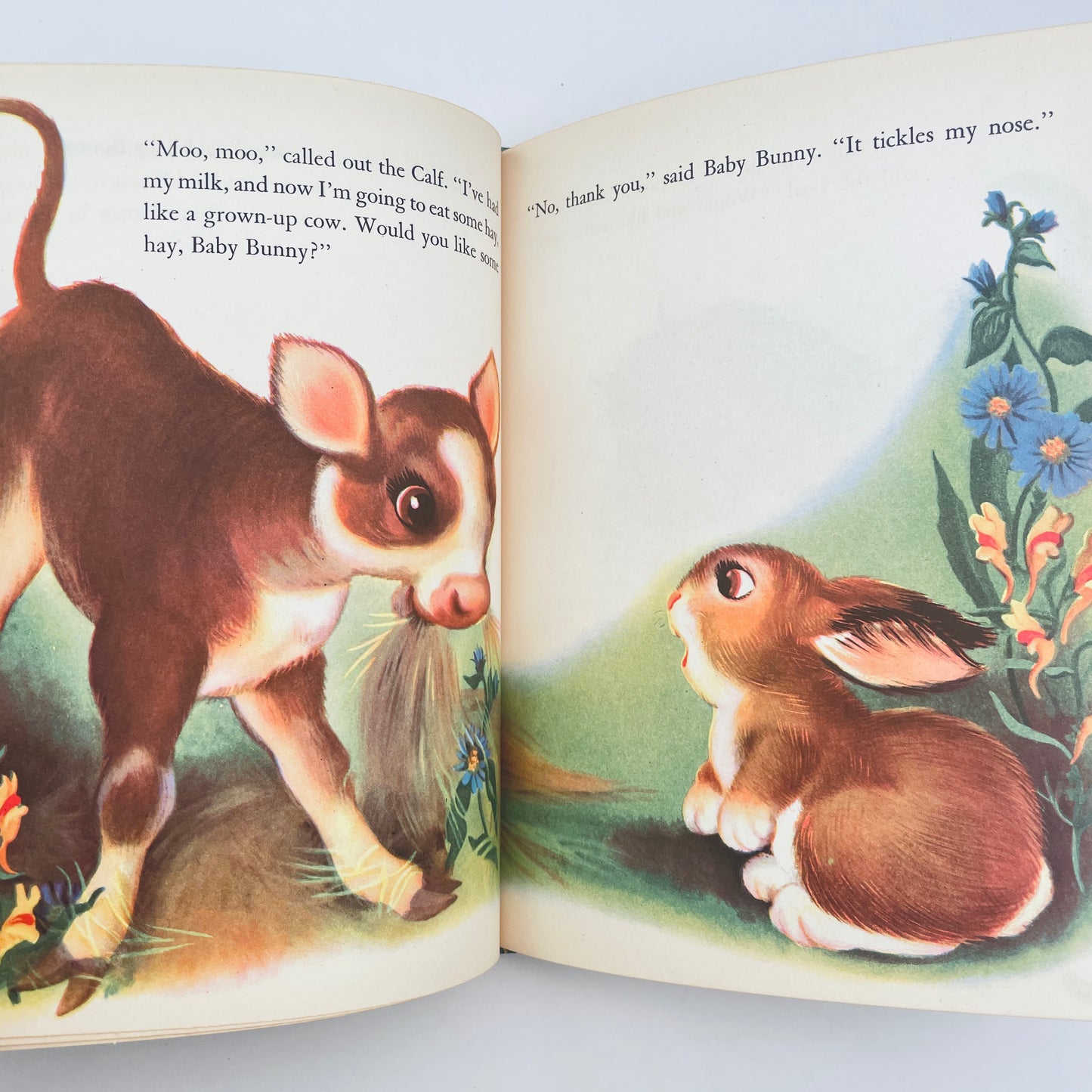 The Hungry Little Bunny and What He Found Out, 1950