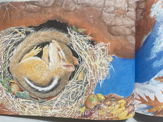 Chipmunk at Hollow Tree Lane (Smithsonian's Backyard Book)