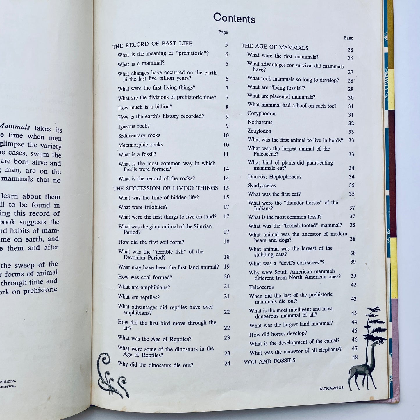 The How and Why Wonder Books of Prehistoric Mammals