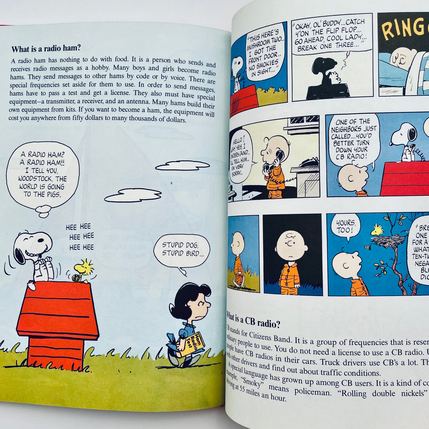 Charlie Brown's 'Cyclopedia, Vol. 15: Featuring Electricity and Magnetism