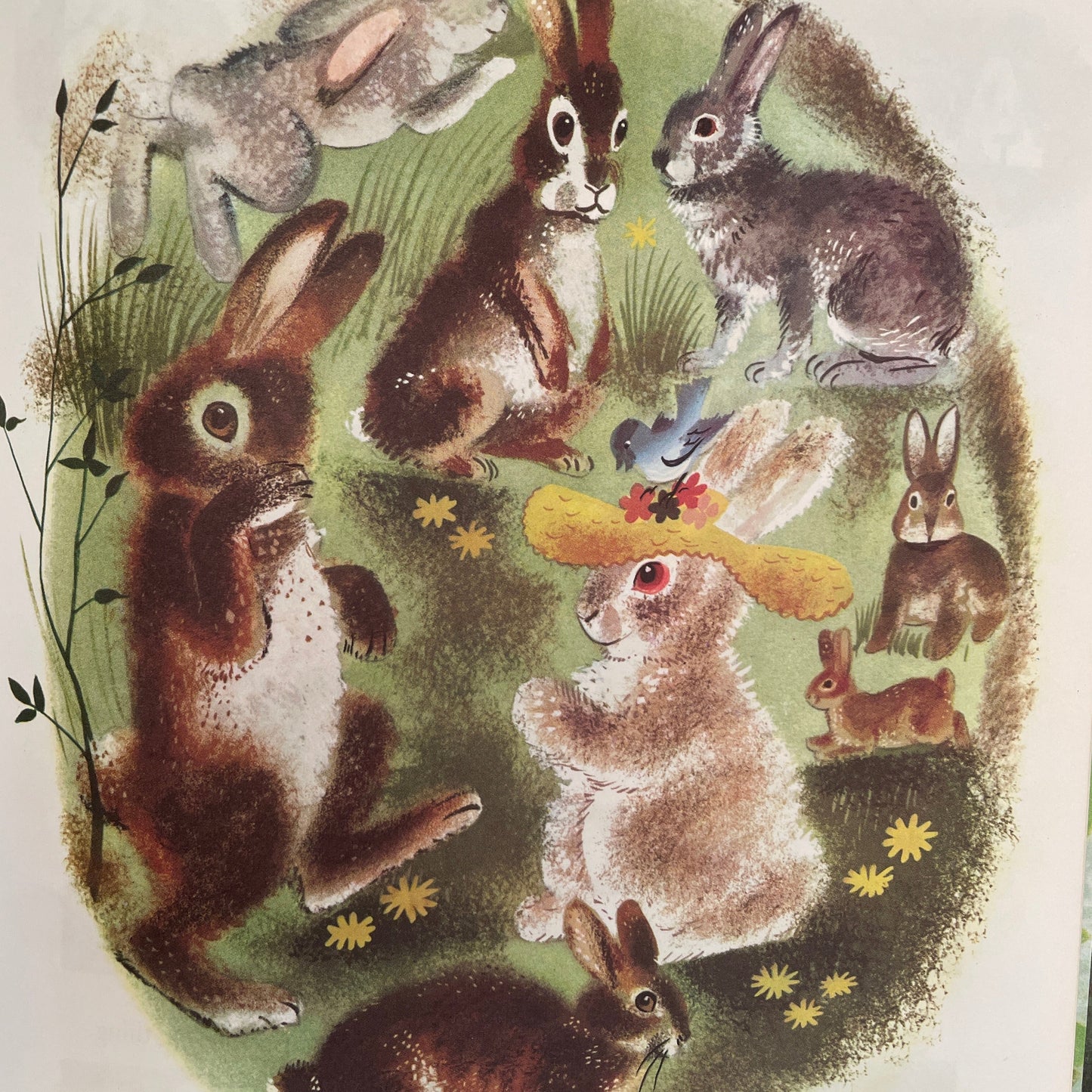 The Golden Bunny