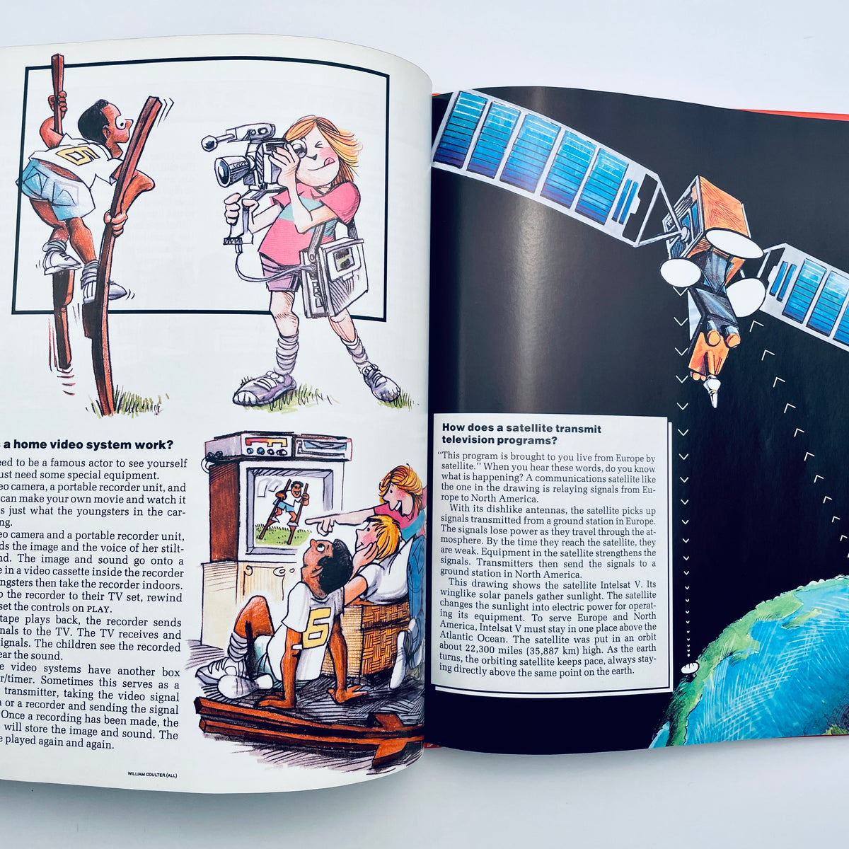 Why in the World? (National Geographic Books for World Explorers)