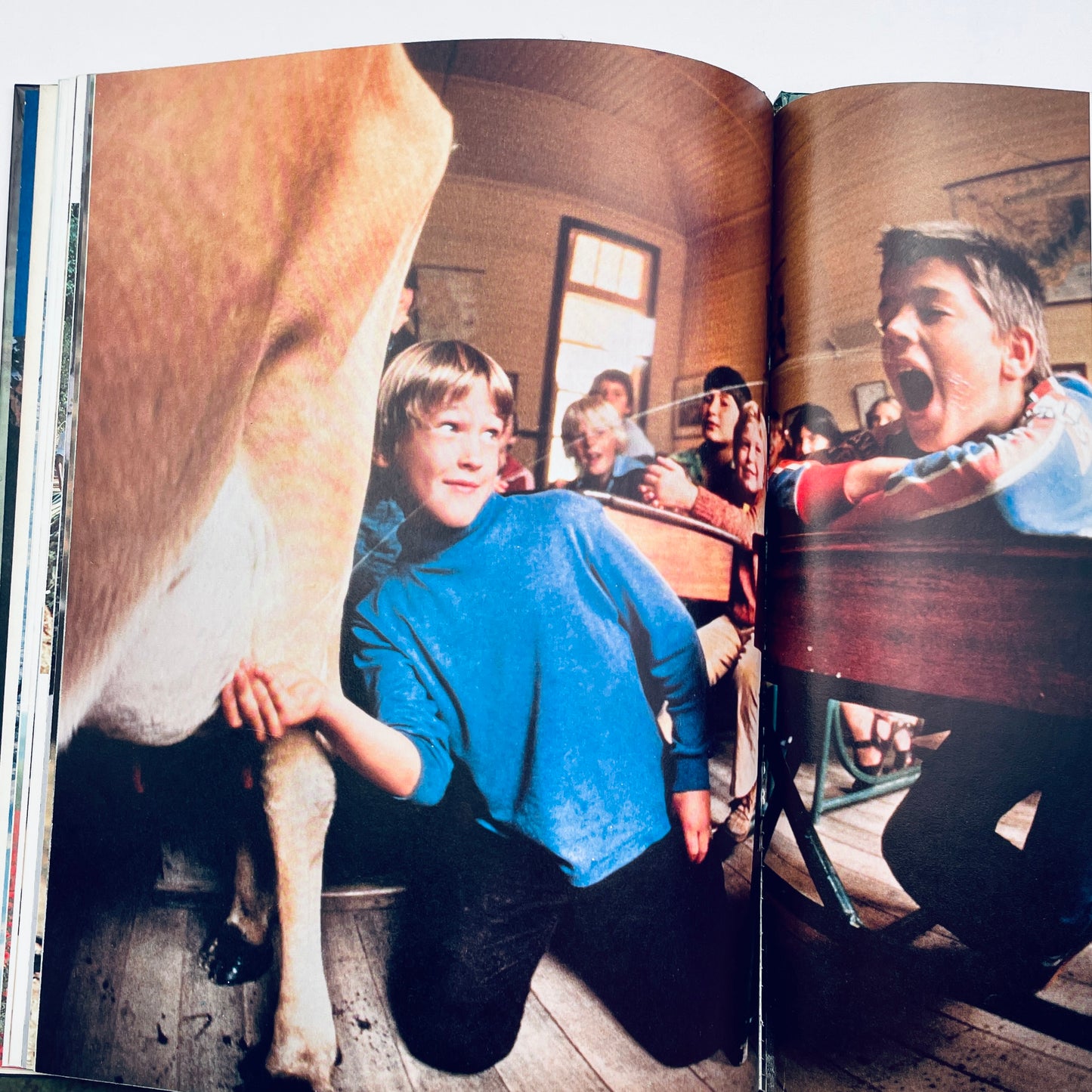 Animals Helping People (National Geographic Books for Young Explorers)