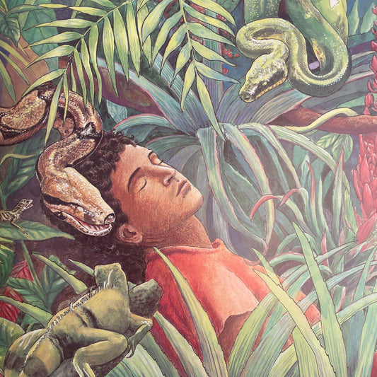 The Great Kapok Tree