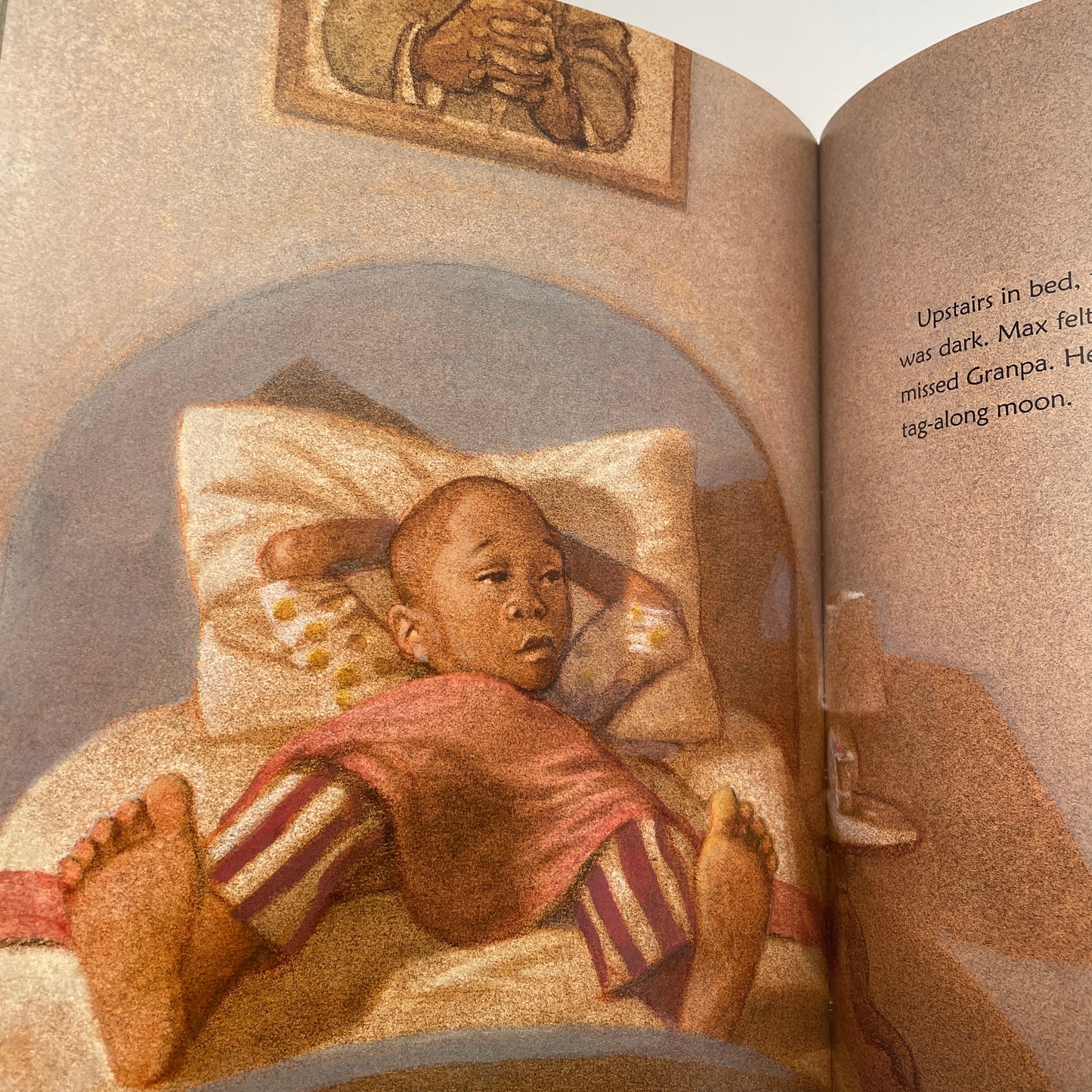 Max and the Tag-Along Moon