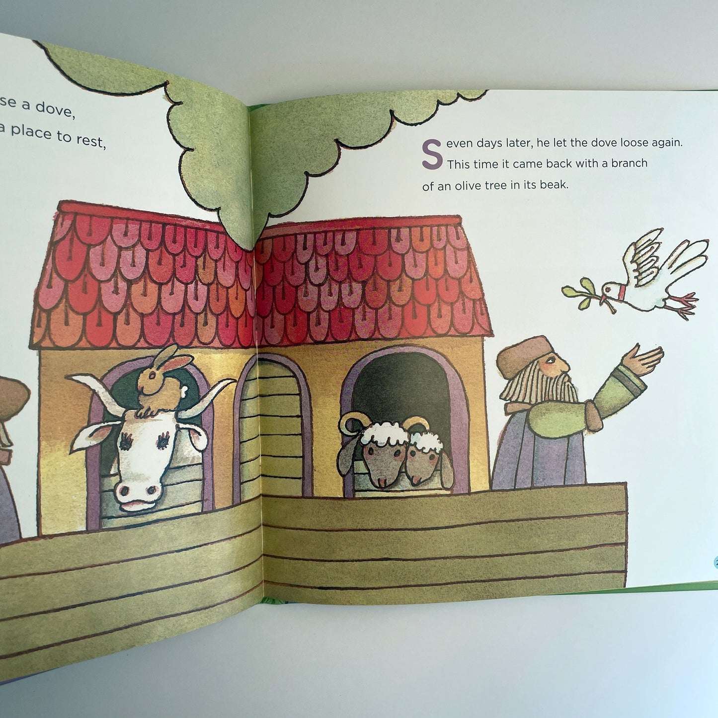 Noah and the Ark