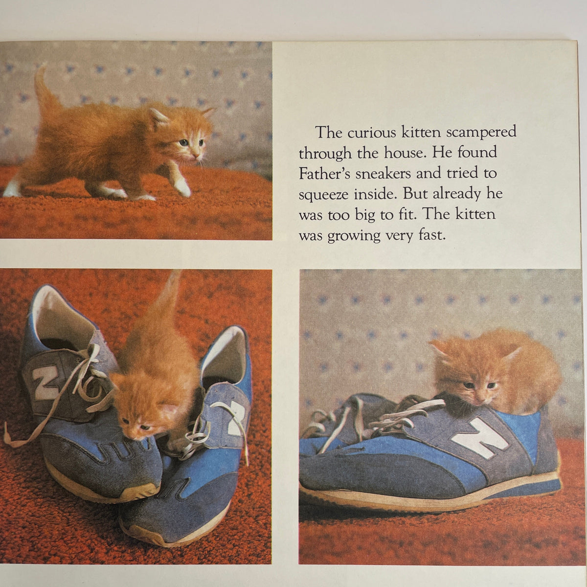 The Little Kitten