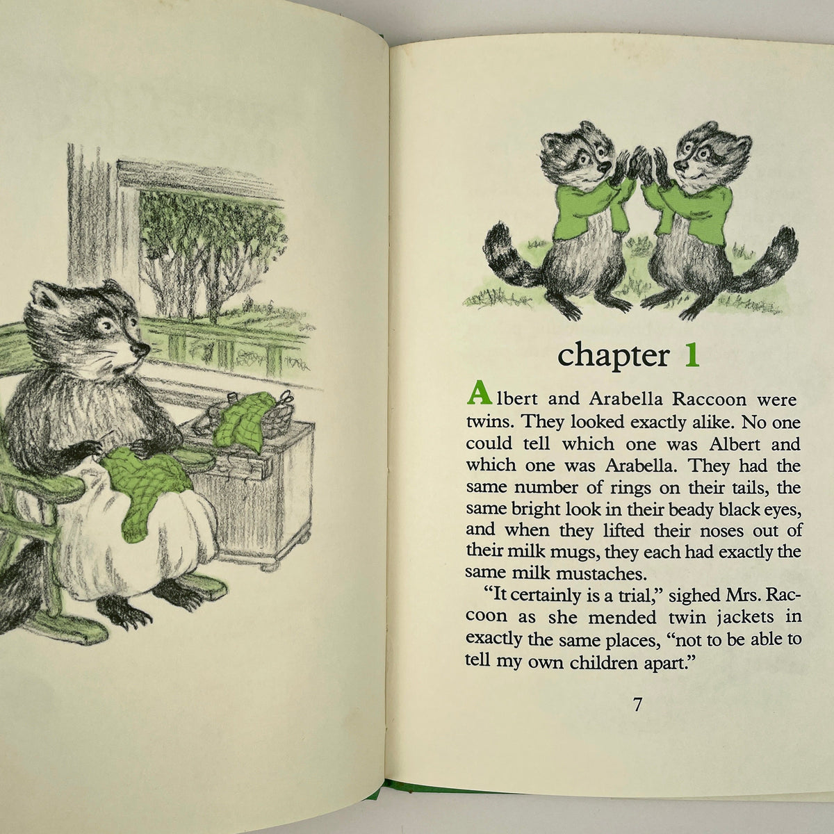 Here Come Raccoons!