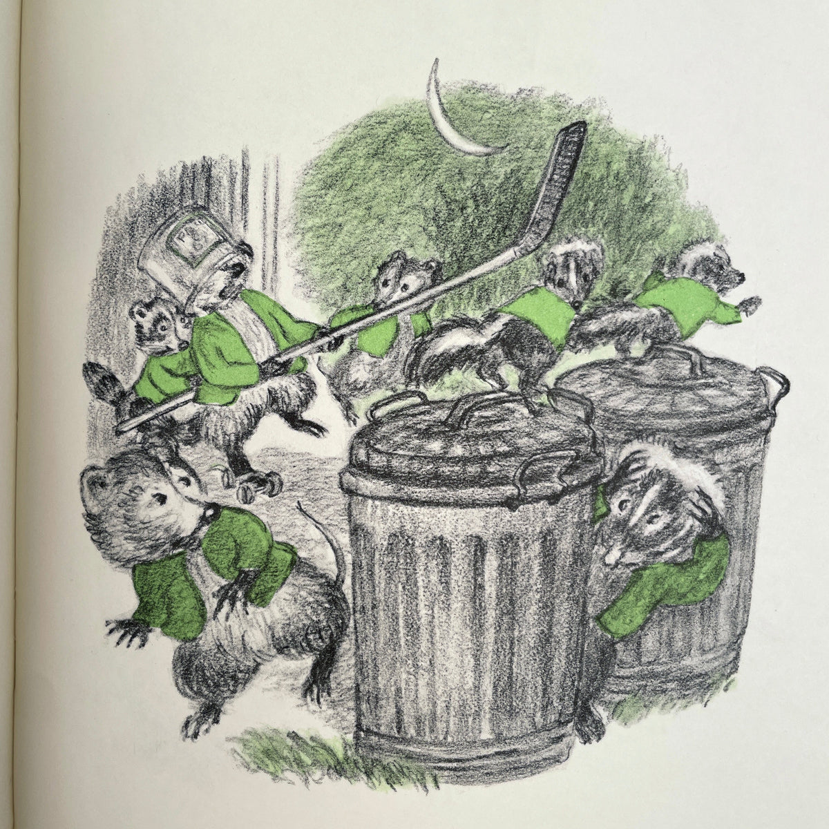 Here Come Raccoons!