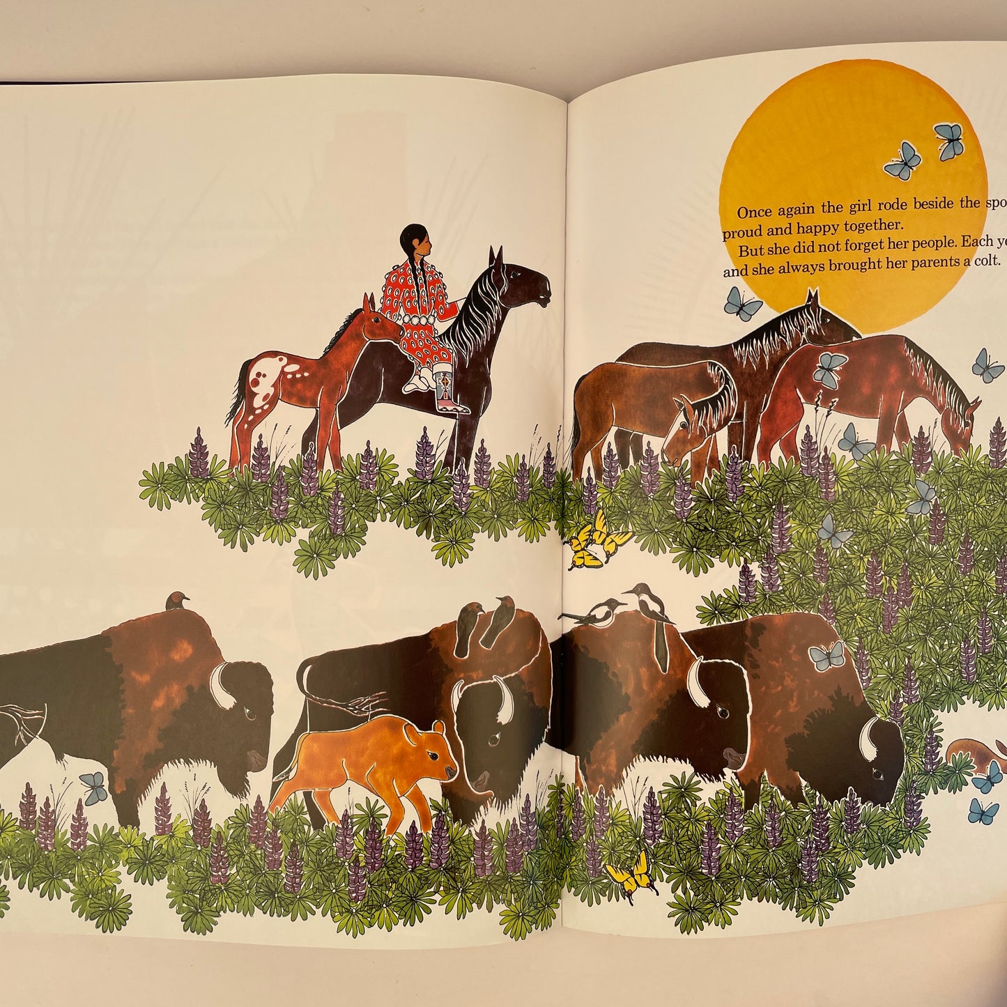 The Girl Who Loved Wild Horses