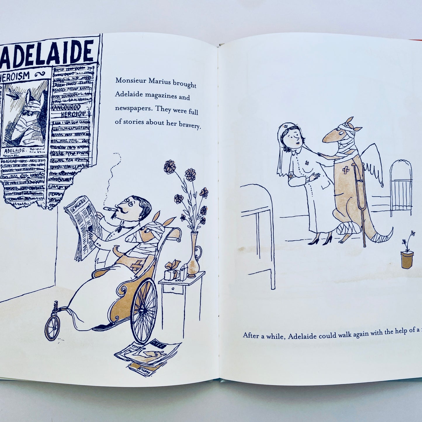 Adelaide: The Flying Kangaroo