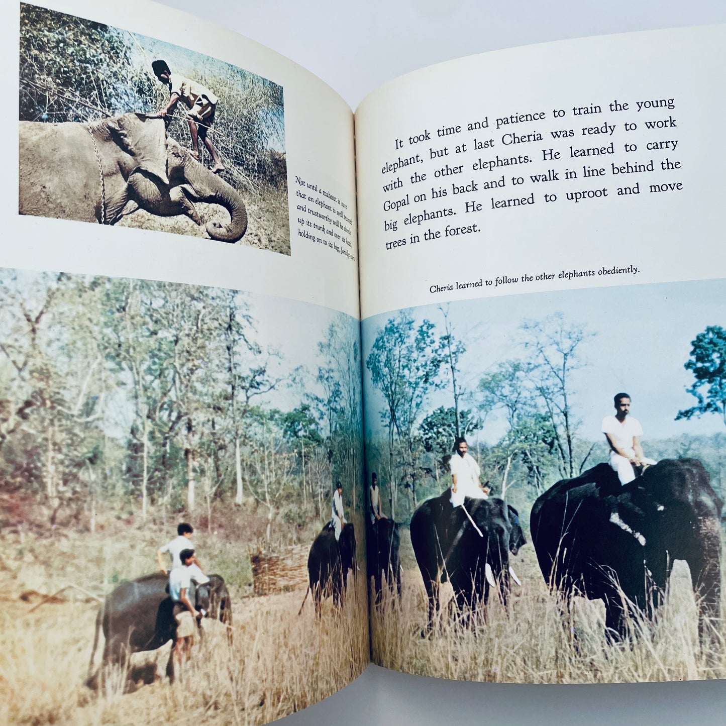 Elephant Baby (Encyclopaedia Britannica True-to-Life Books)