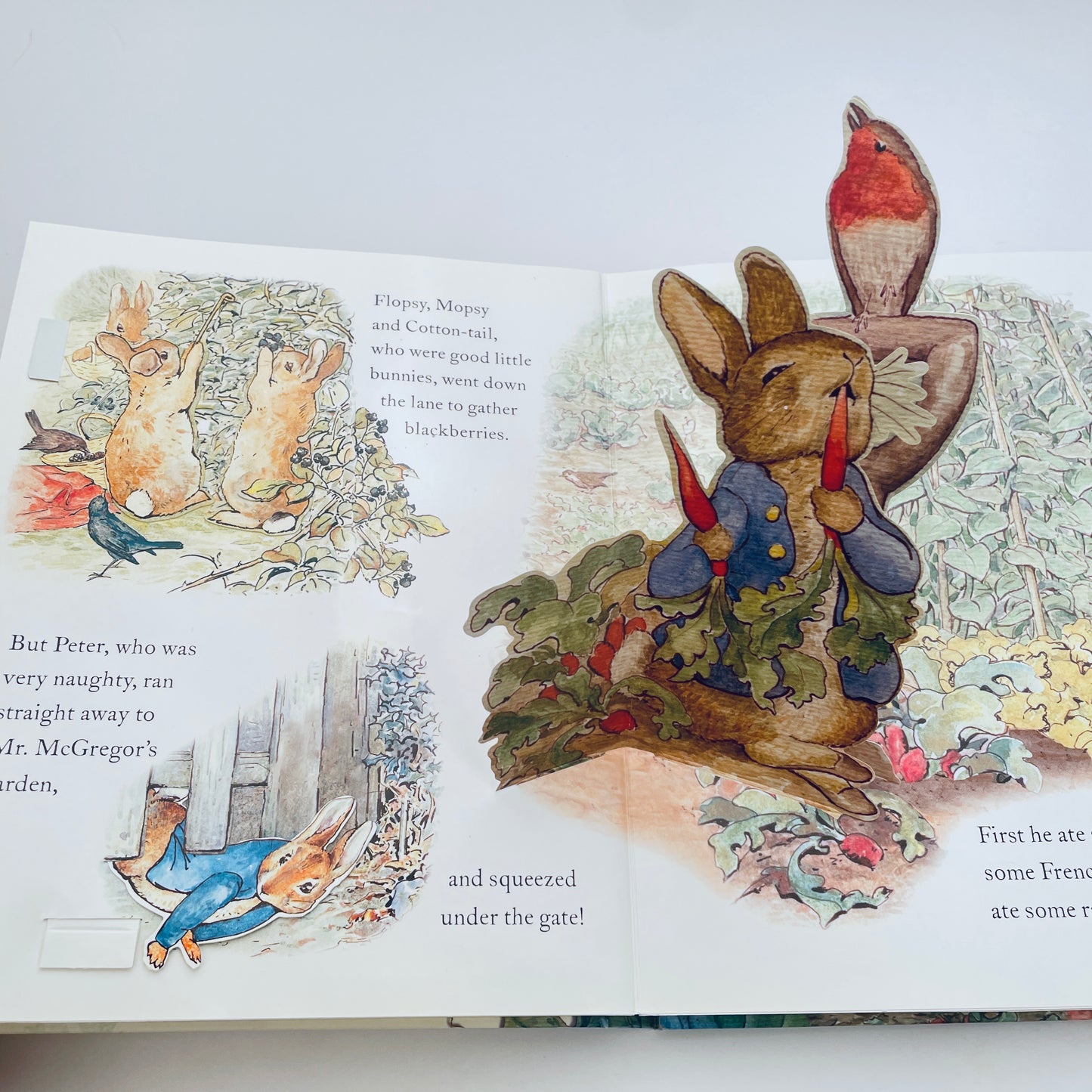 The Tale of Peter Rabbit A Pop-up Adventure