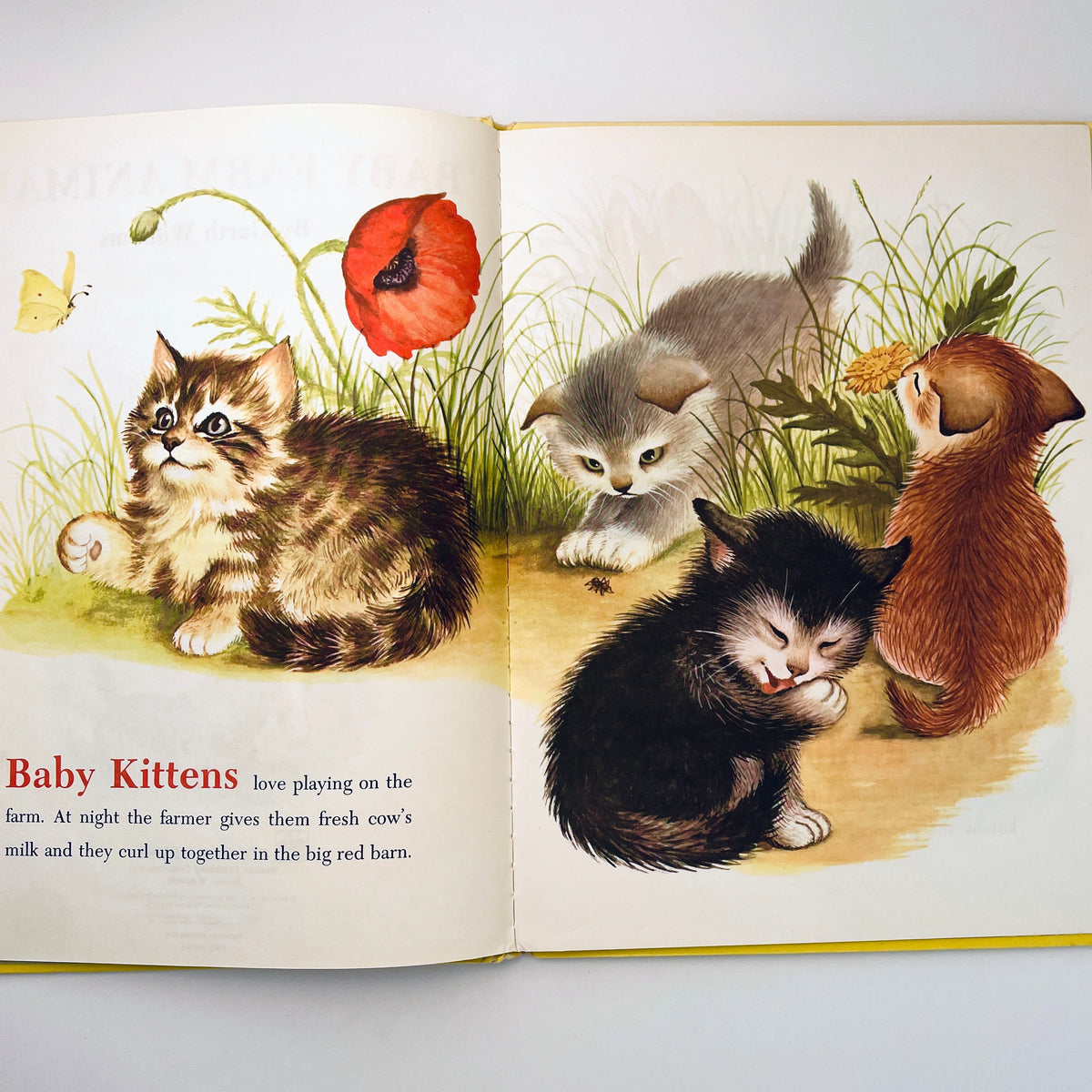 Baby Farm Animals