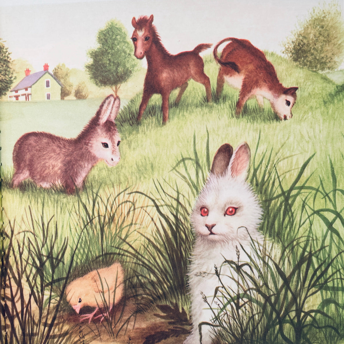 Baby Farm Animals