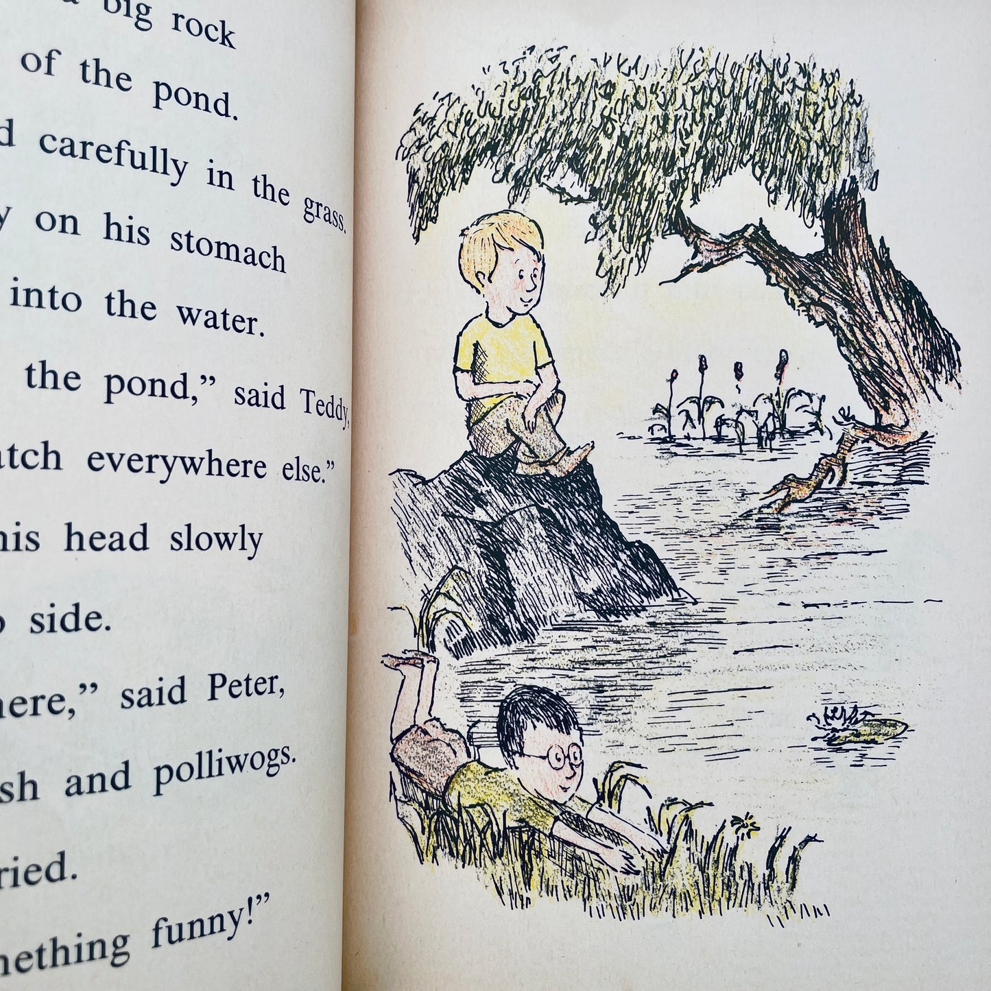 The Toad Hunt (A Science I CAN READ Book)